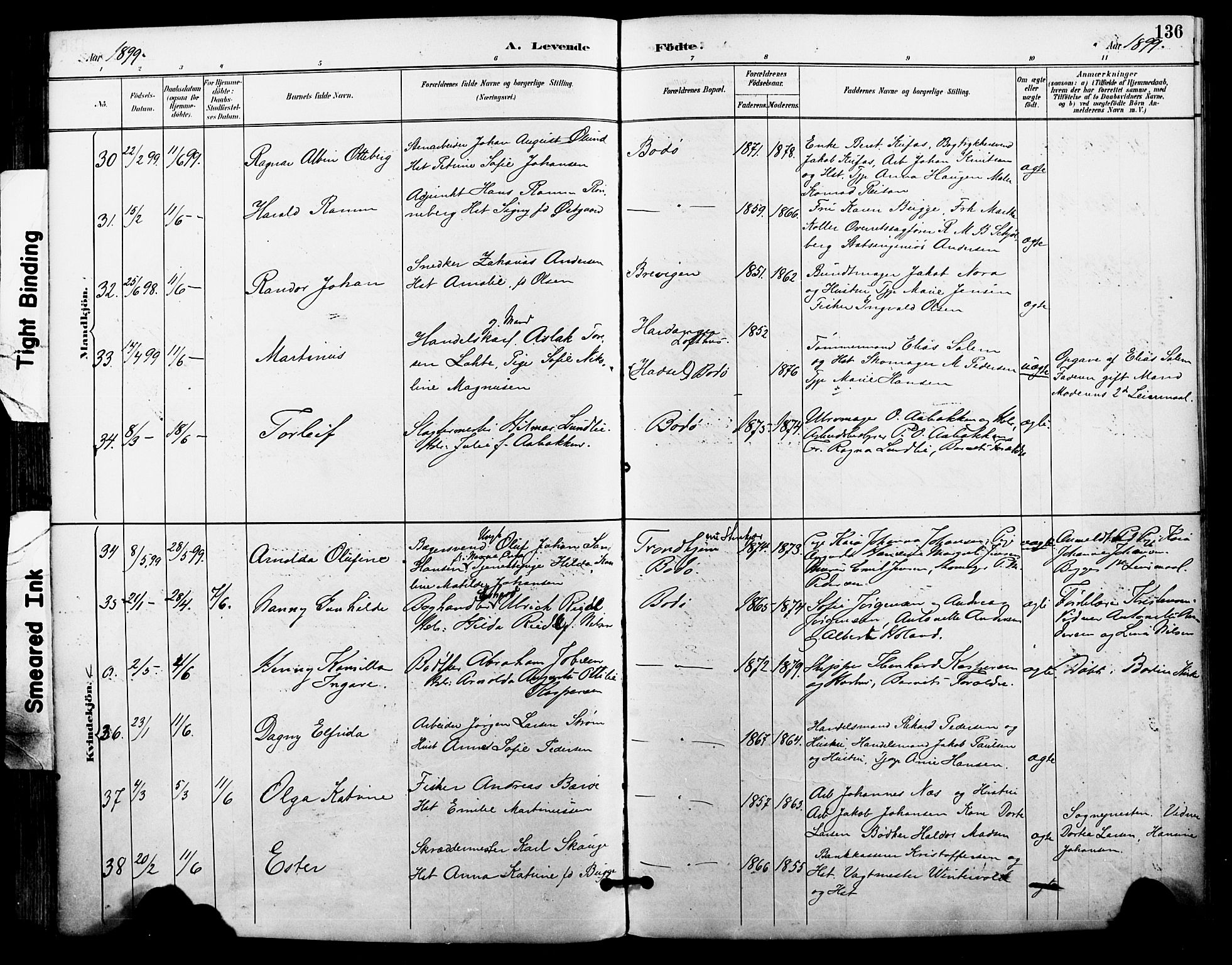 Ministerialprotokoller, klokkerbøker og fødselsregistre - Nordland, AV/SAT-A-1459/801/L0010: Parish register (official) no. 801A10, 1888-1899, p. 136