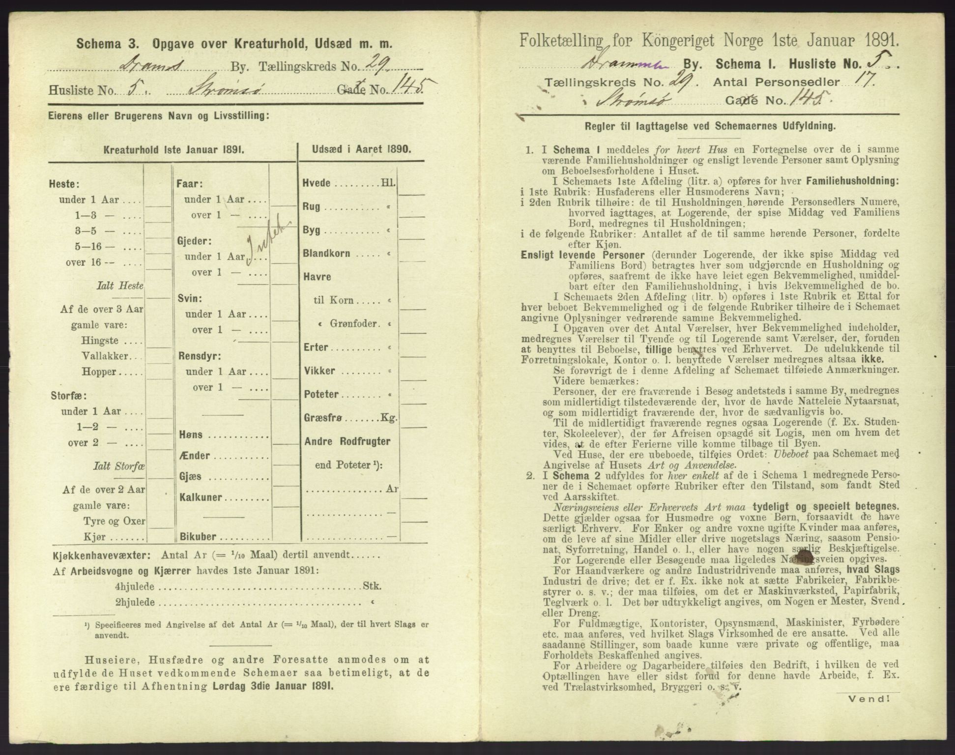 RA, 1891 census for 0602 Drammen, 1891, p. 2479