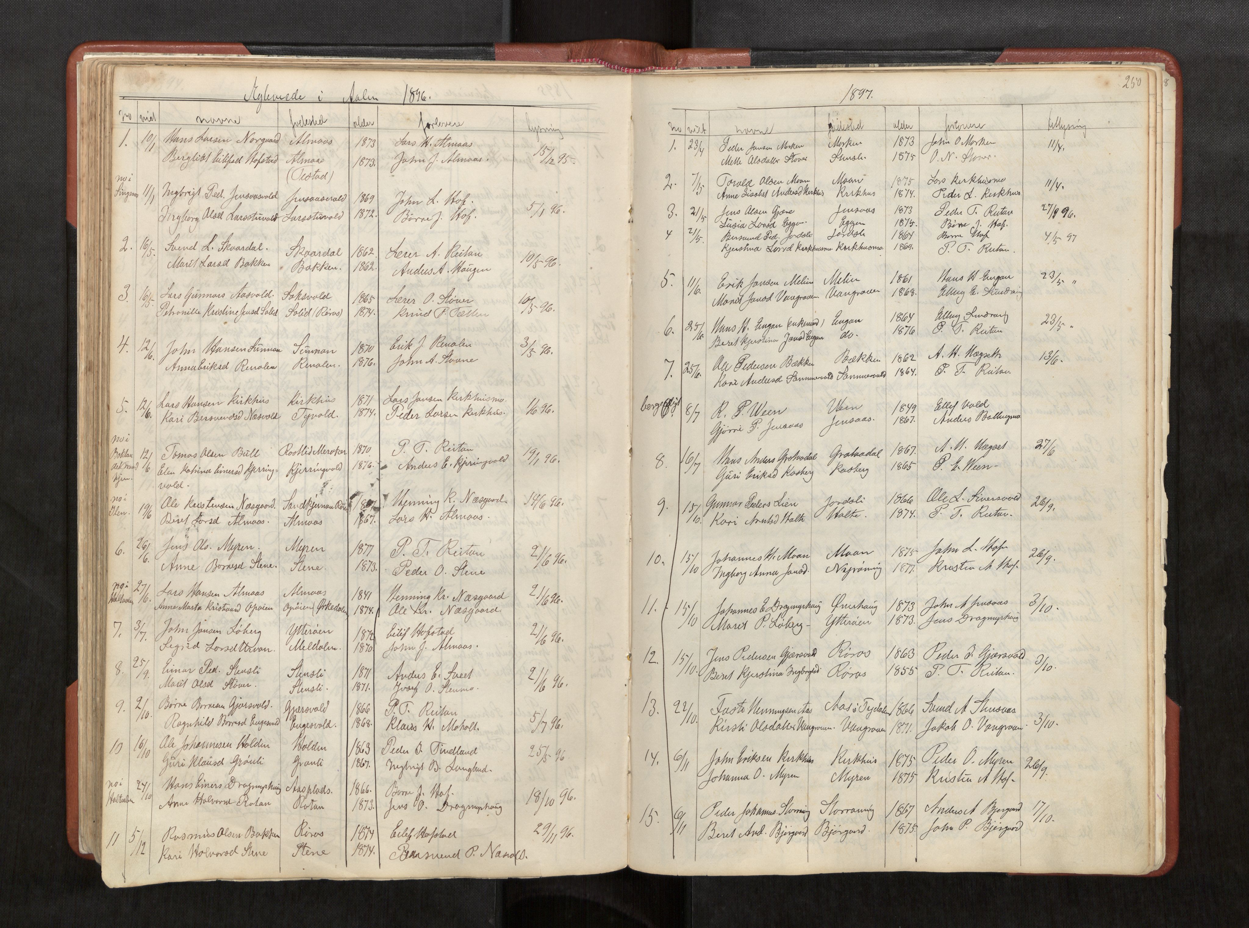 Ministerialprotokoller, klokkerbøker og fødselsregistre - Sør-Trøndelag, SAT/A-1456/686/L0985: Parish register (copy) no. 686C01, 1871-1933, p. 250