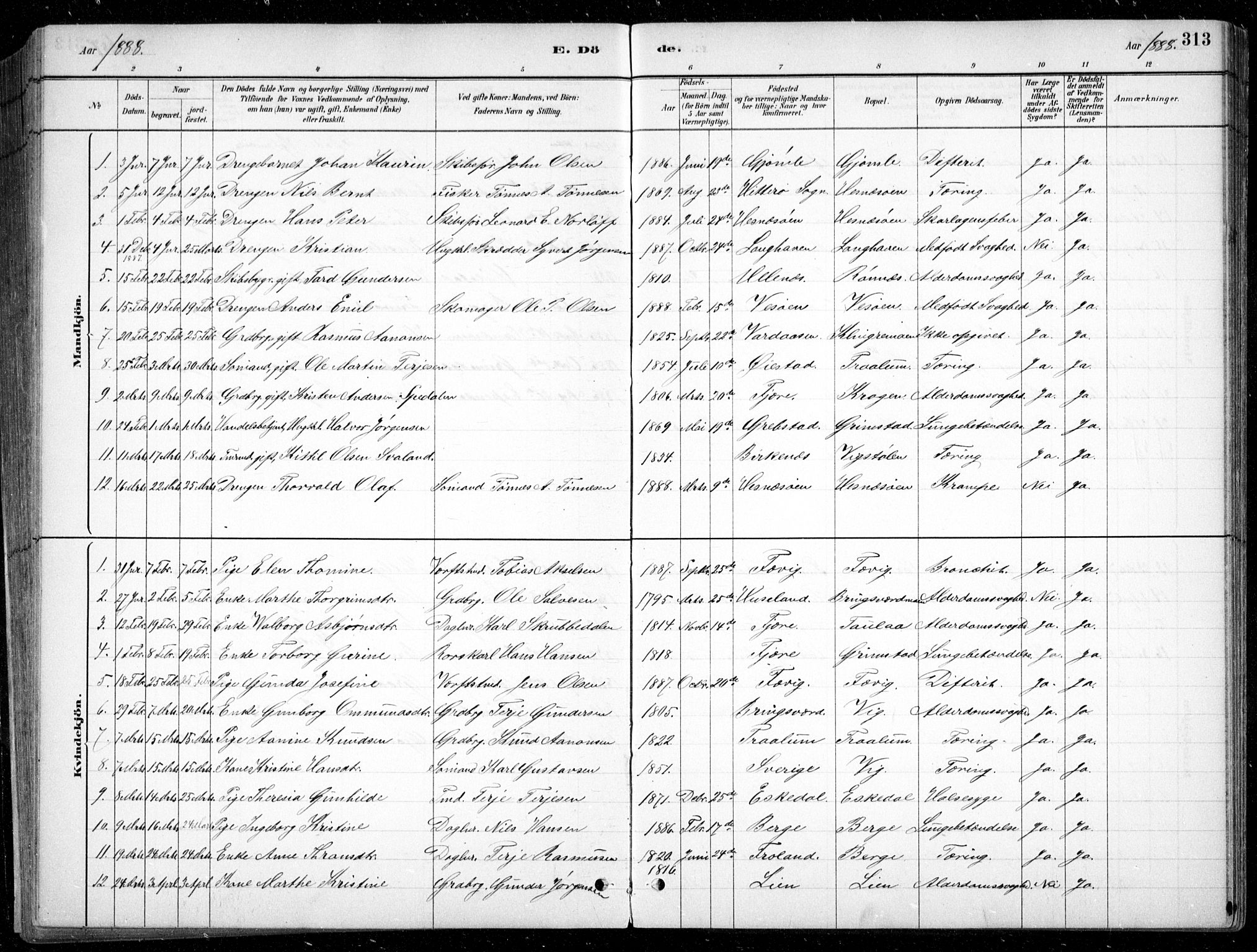 Fjære sokneprestkontor, SAK/1111-0011/F/Fb/L0011: Parish register (copy) no. B 11, 1881-1905, p. 313