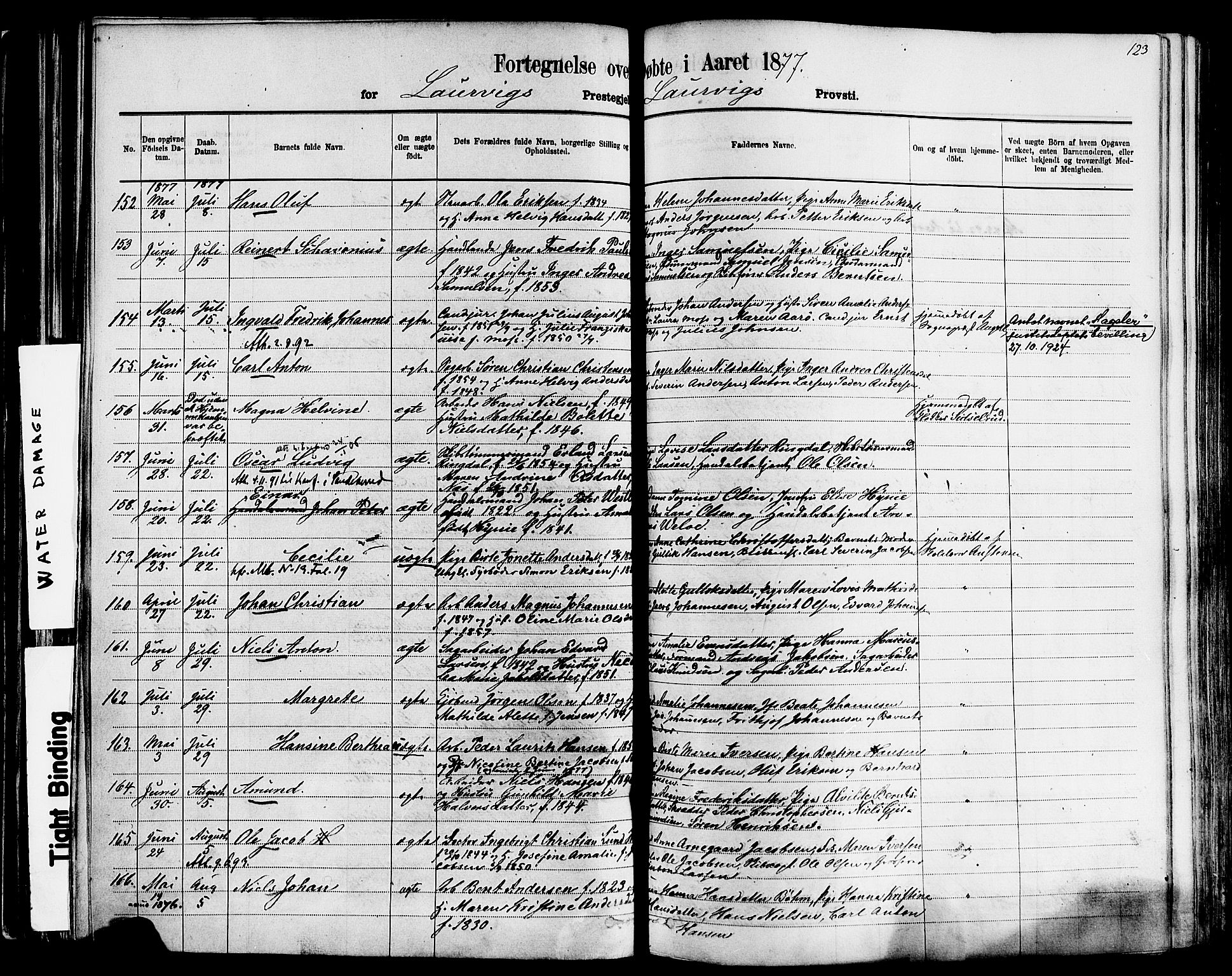 Larvik kirkebøker, AV/SAKO-A-352/F/Fa/L0006: Parish register (official) no. I 6, 1871-1883, p. 123