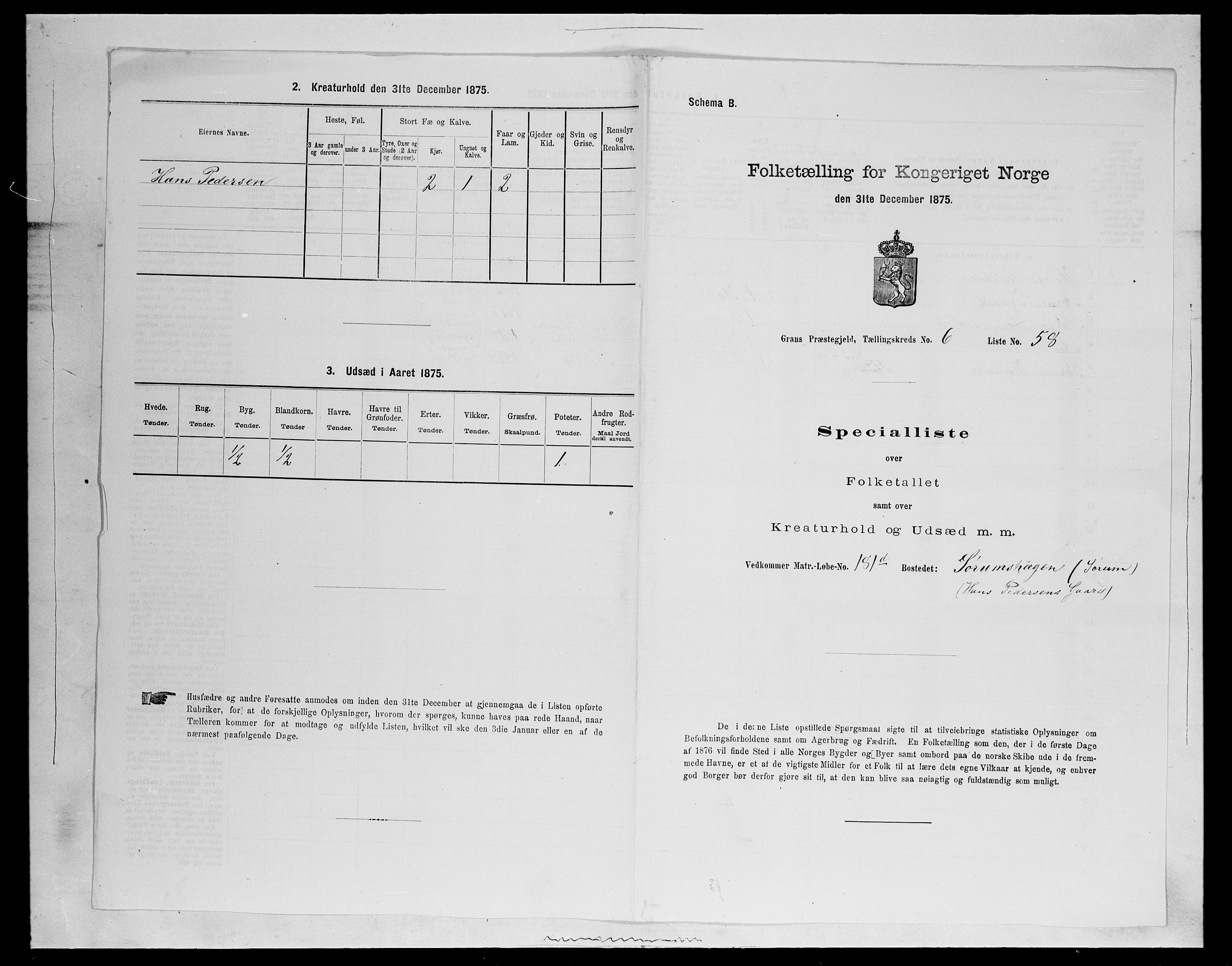 SAH, 1875 census for 0534P Gran, 1875, p. 1135