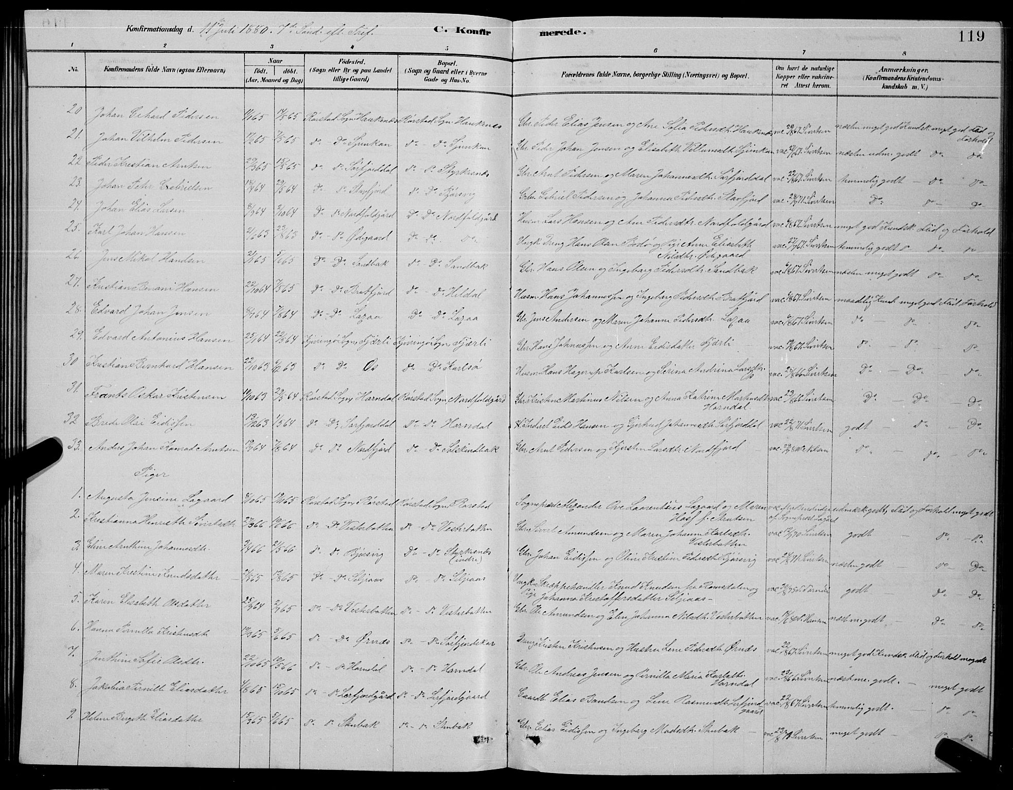 Ministerialprotokoller, klokkerbøker og fødselsregistre - Nordland, AV/SAT-A-1459/853/L0776: Parish register (copy) no. 853C04, 1878-1889, p. 119