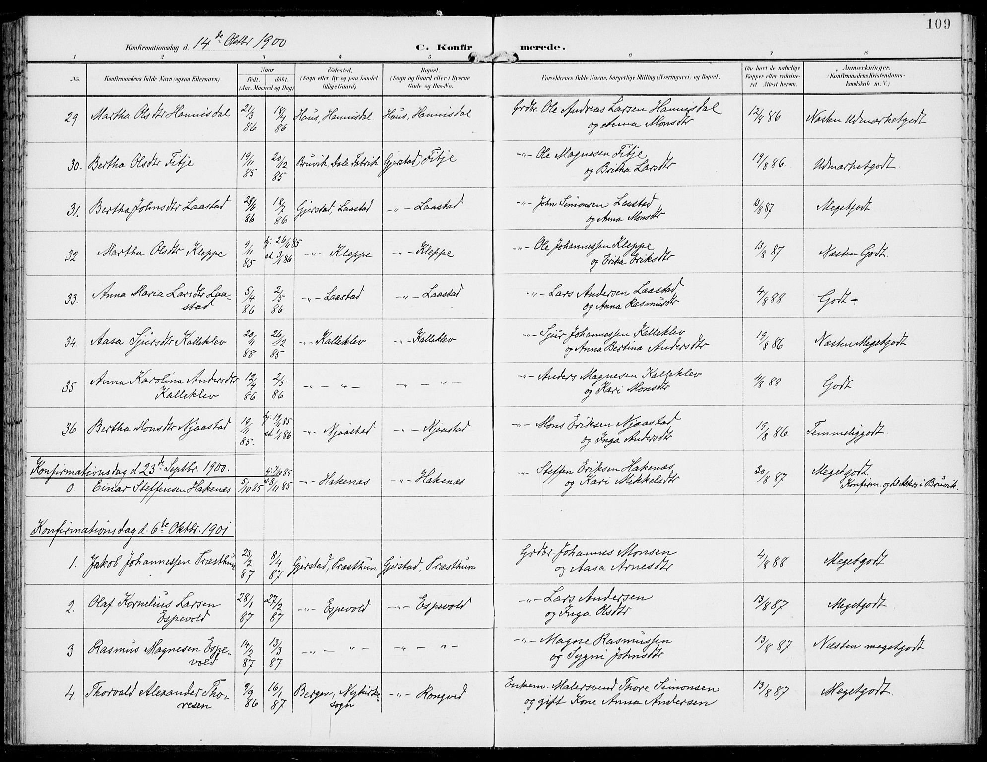 Haus sokneprestembete, AV/SAB-A-75601/H/Haa: Parish register (official) no. C  2, 1900-1915, p. 109