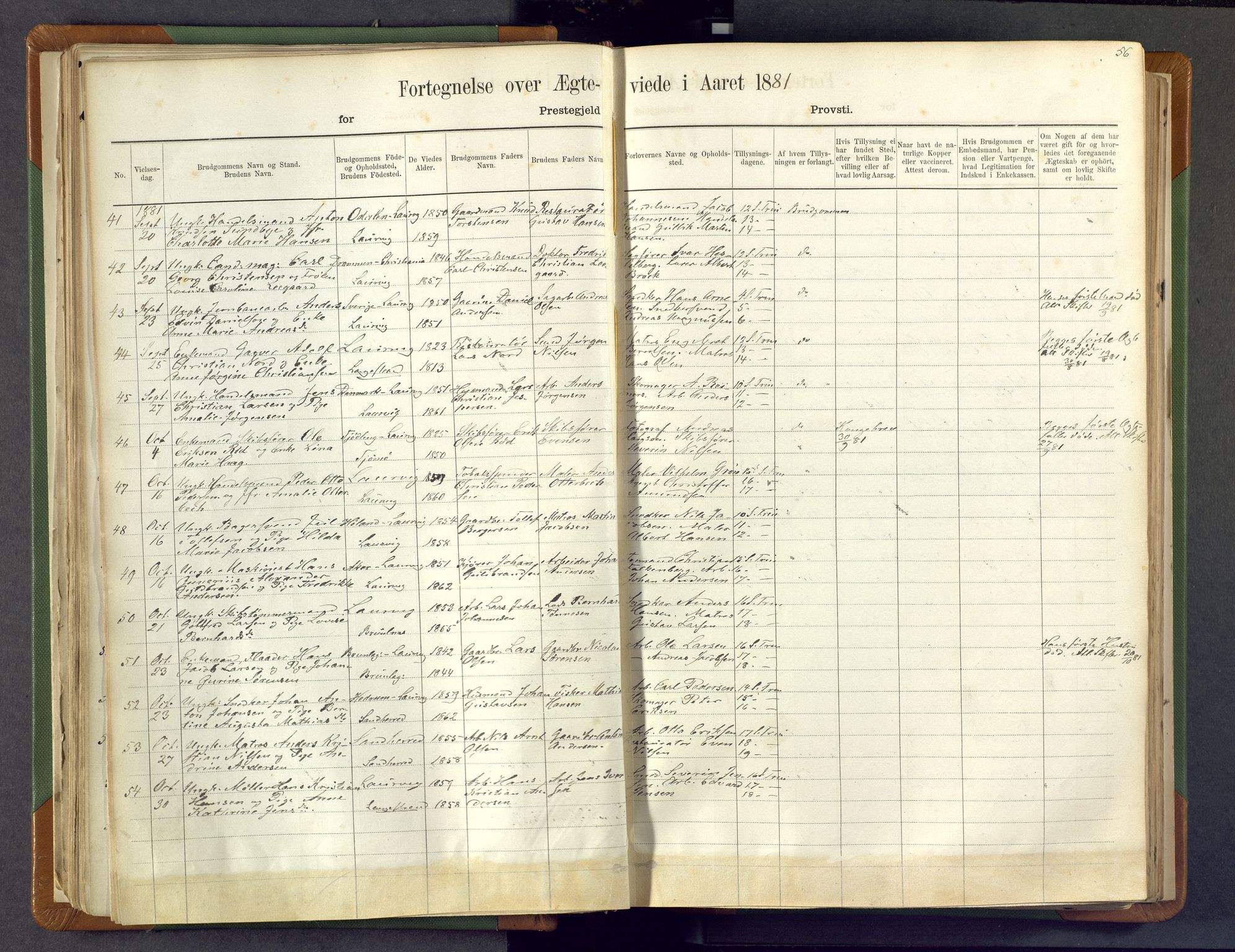 Larvik kirkebøker, AV/SAKO-A-352/F/Fa/L0007: Parish register (official) no. I 7, 1871-1883, p. 56