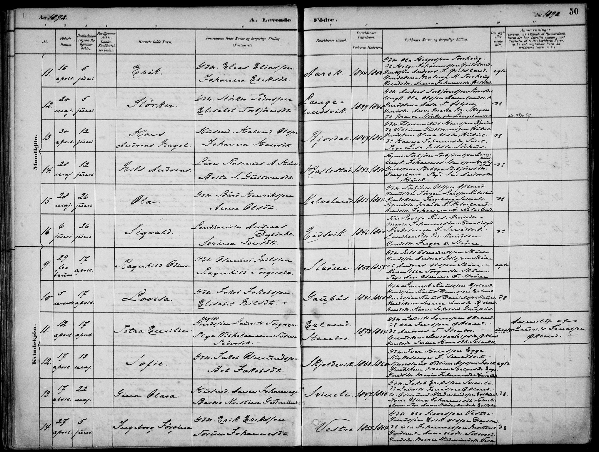 Skjold sokneprestkontor, AV/SAST-A-101847/H/Ha/Haa/L0010: Parish register (official) no. A 10, 1882-1897, p. 50