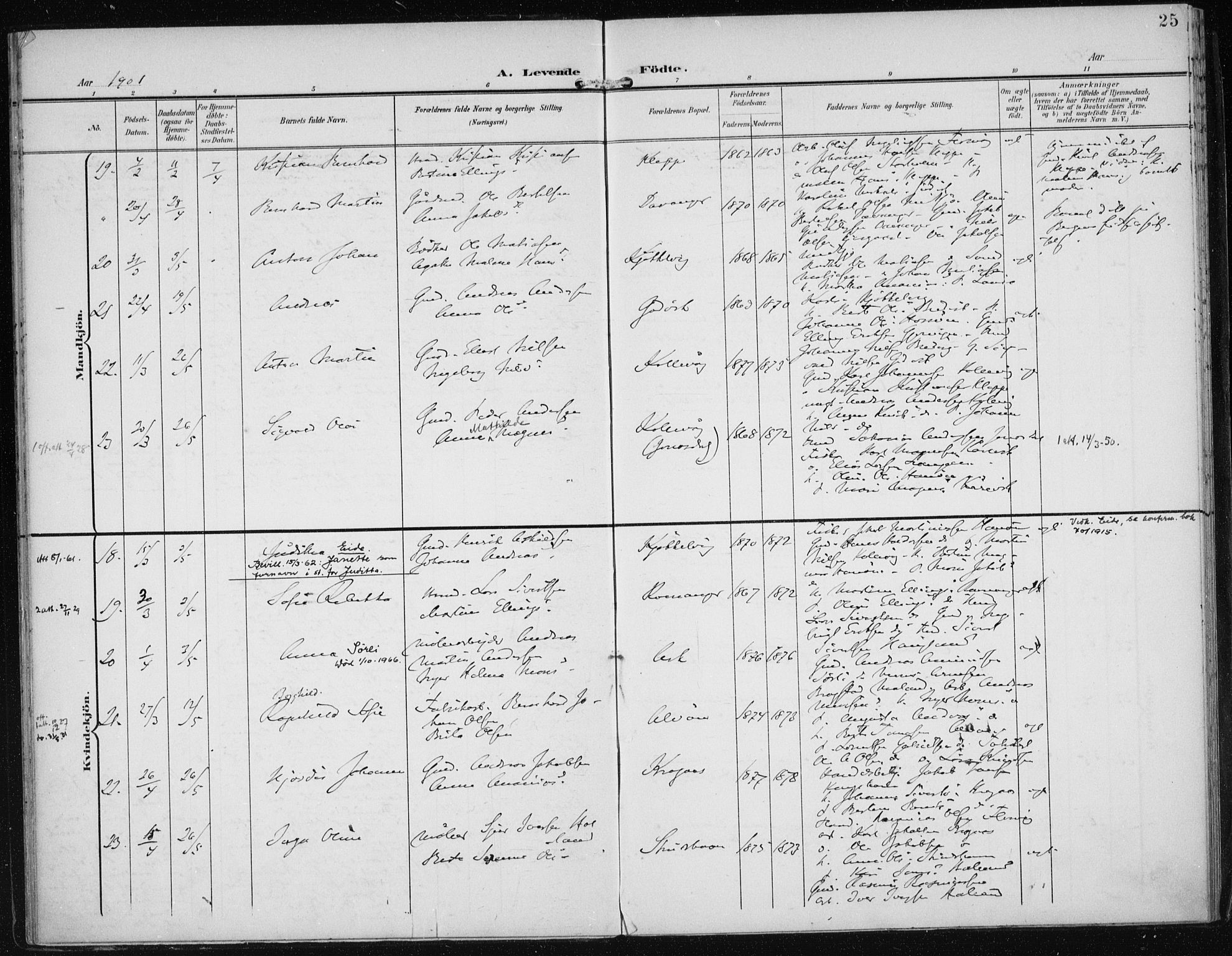 Askøy Sokneprestembete, AV/SAB-A-74101/H/Ha/Haa/Haac/L0001: Parish register (official) no. C 1, 1899-1905, p. 25