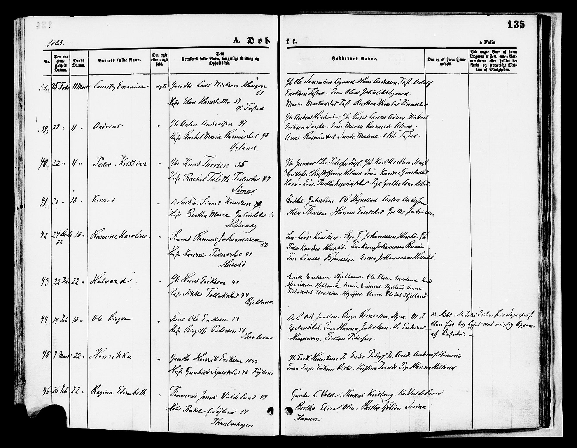 Hetland sokneprestkontor, AV/SAST-A-101826/30/30BA/L0008: Parish register (official) no. A 8, 1877-1884, p. 135