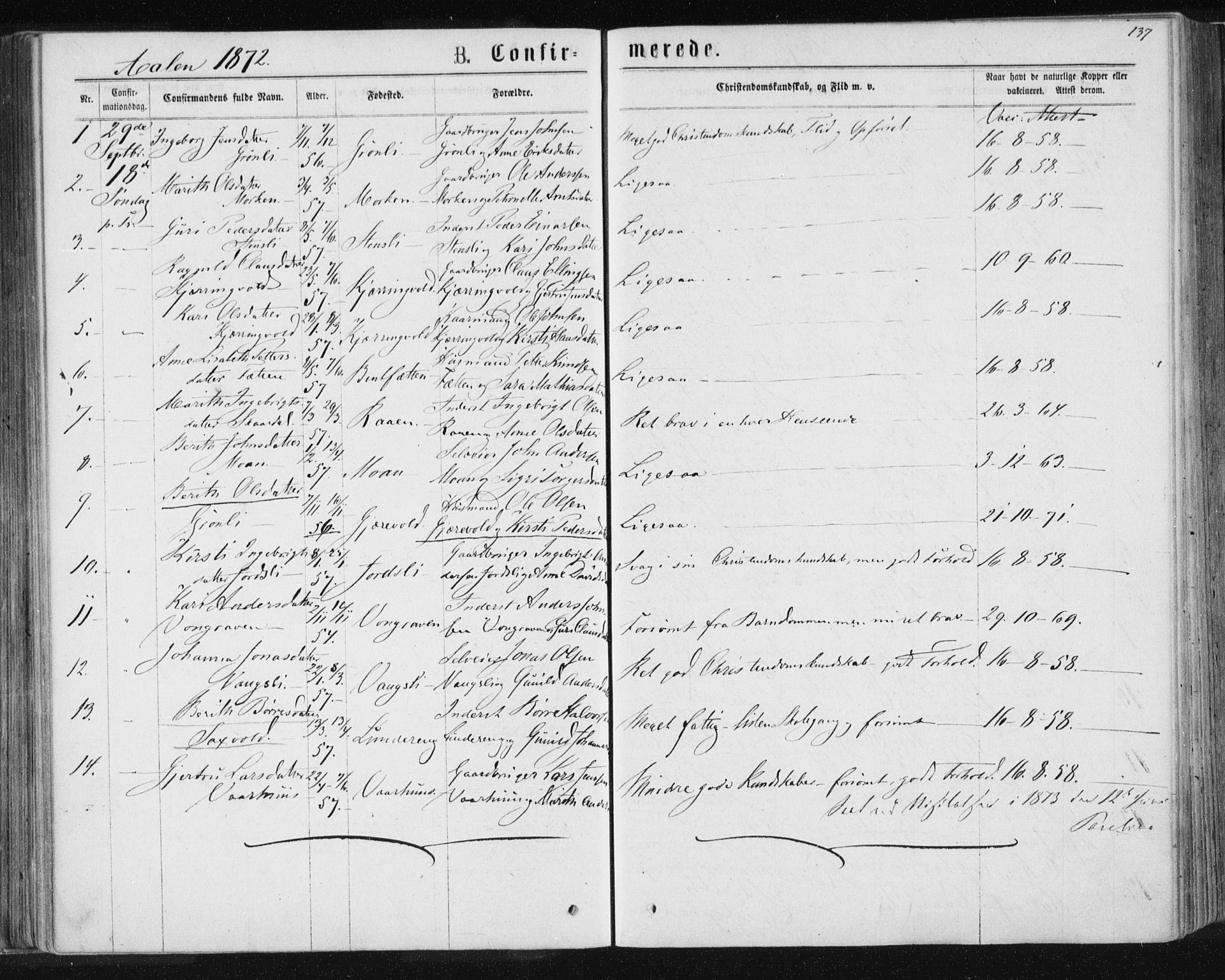 Ministerialprotokoller, klokkerbøker og fødselsregistre - Sør-Trøndelag, SAT/A-1456/685/L0971: Parish register (official) no. 685A08 /3, 1870-1879, p. 137