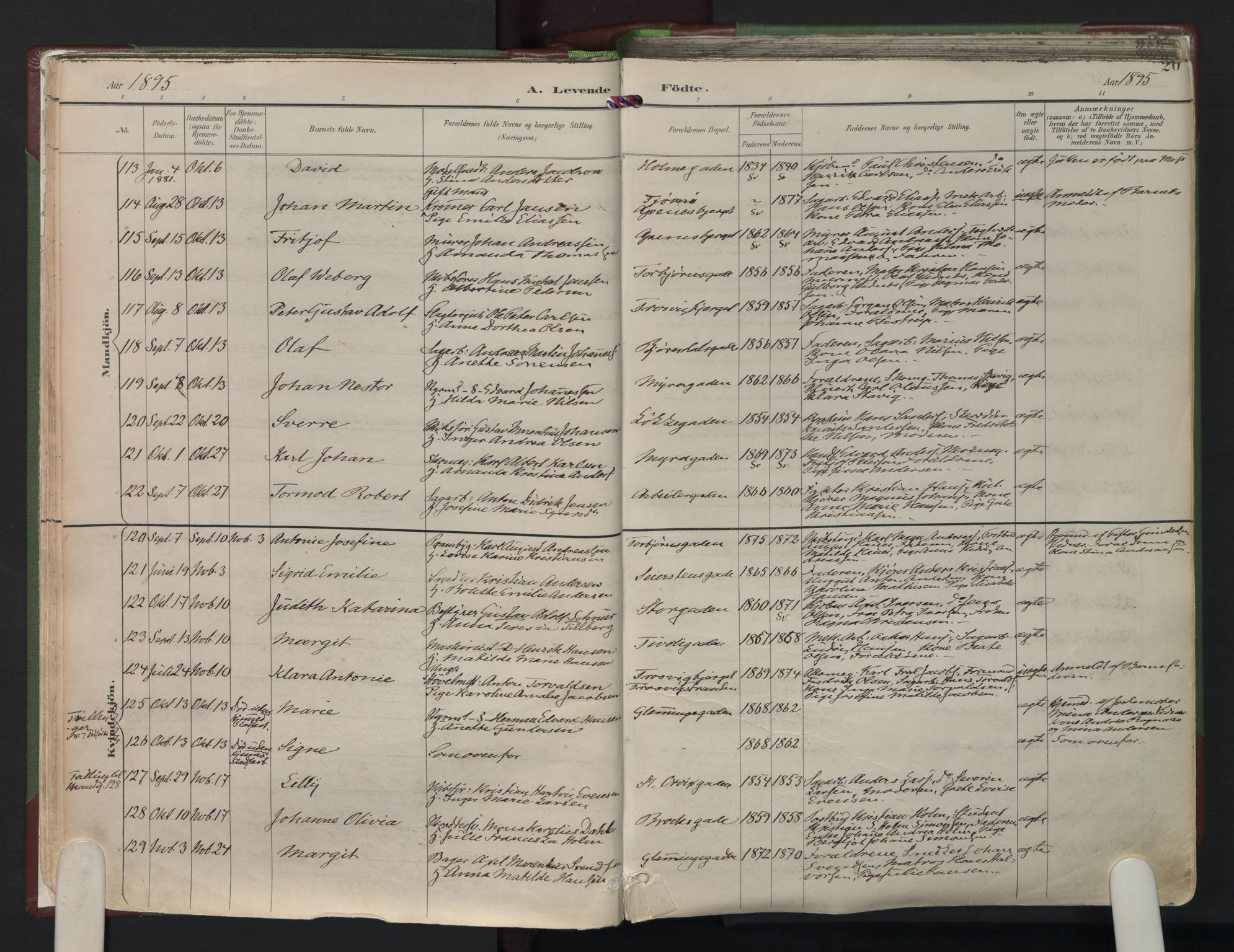 Fredrikstad domkirkes prestekontor Kirkebøker, AV/SAO-A-10906/F/Fa/L0006: Parish register (official) no. I 6, 1894-1914, p. 20