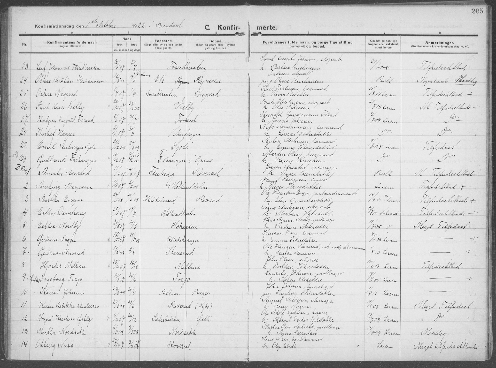 Brandval prestekontor, AV/SAH-PREST-034/H/Ha/Haa/L0004: Parish register (official) no. 4, 1910-1924, p. 205