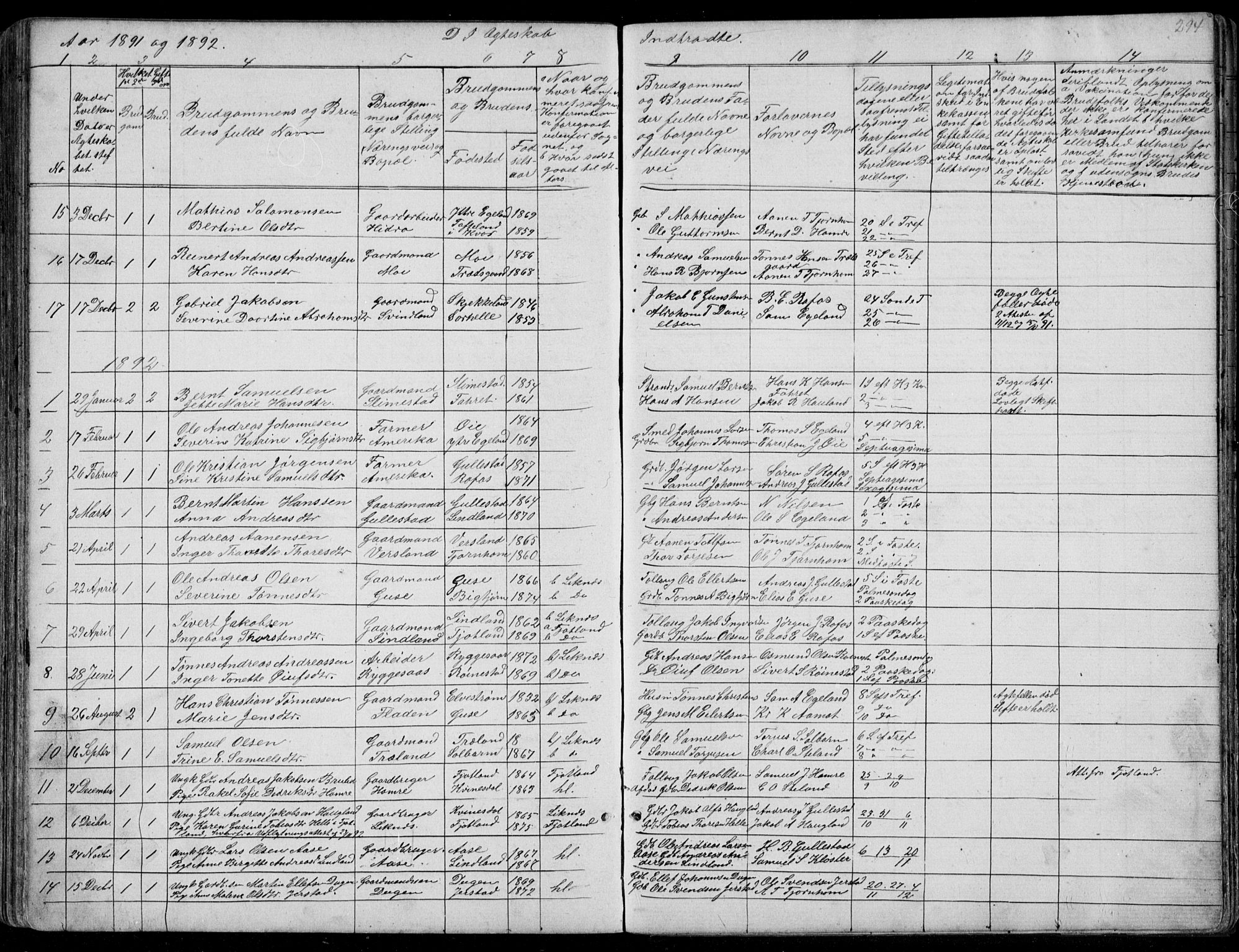 Kvinesdal sokneprestkontor, AV/SAK-1111-0026/F/Fb/Fbb/L0002: Parish register (copy) no. B 2, 1873-1897, p. 294