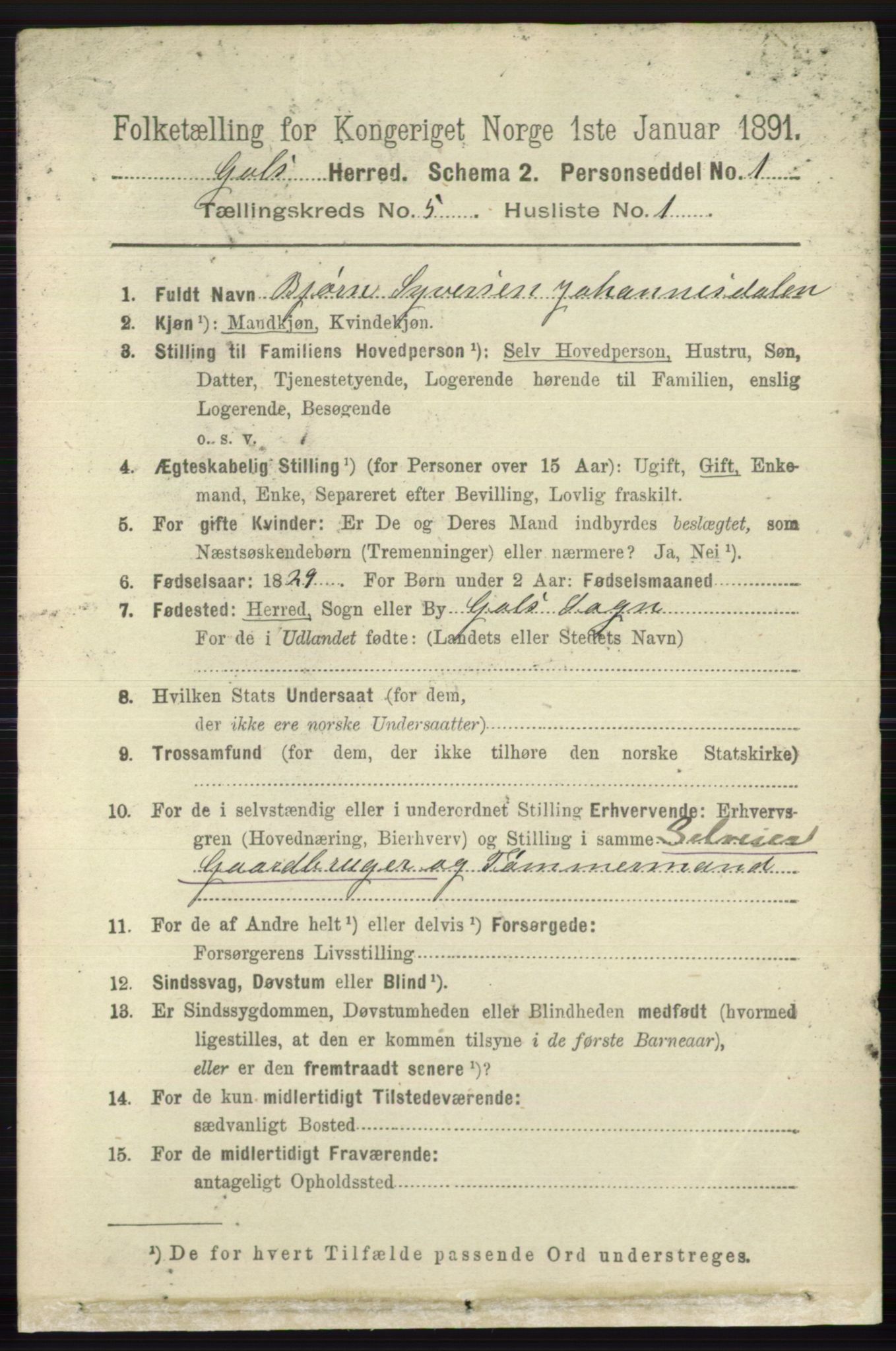 RA, 1891 census for 0617 Gol og Hemsedal, 1891, p. 2305