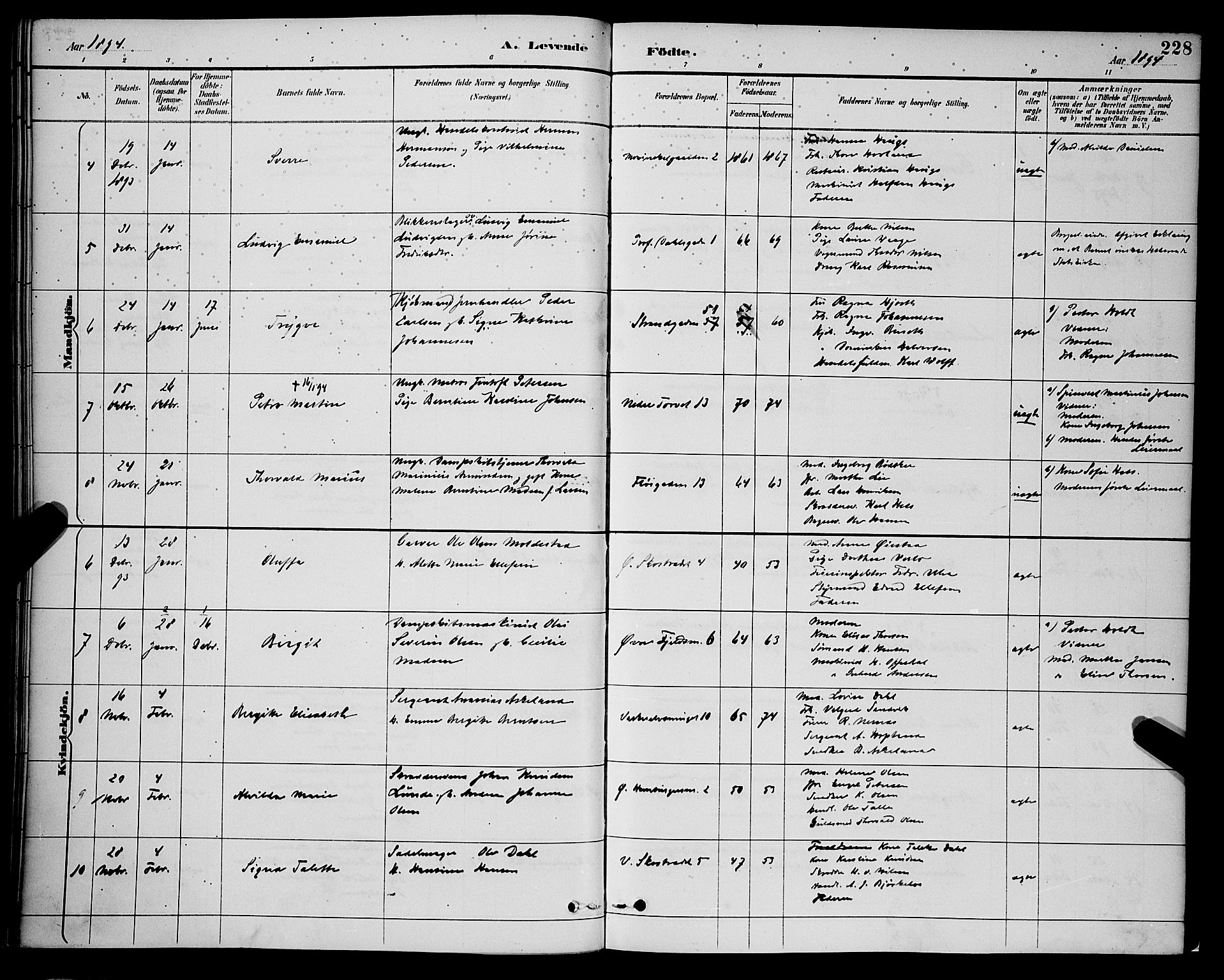 Korskirken sokneprestembete, AV/SAB-A-76101/H/Hab: Parish register (copy) no. B 9, 1887-1896, p. 228