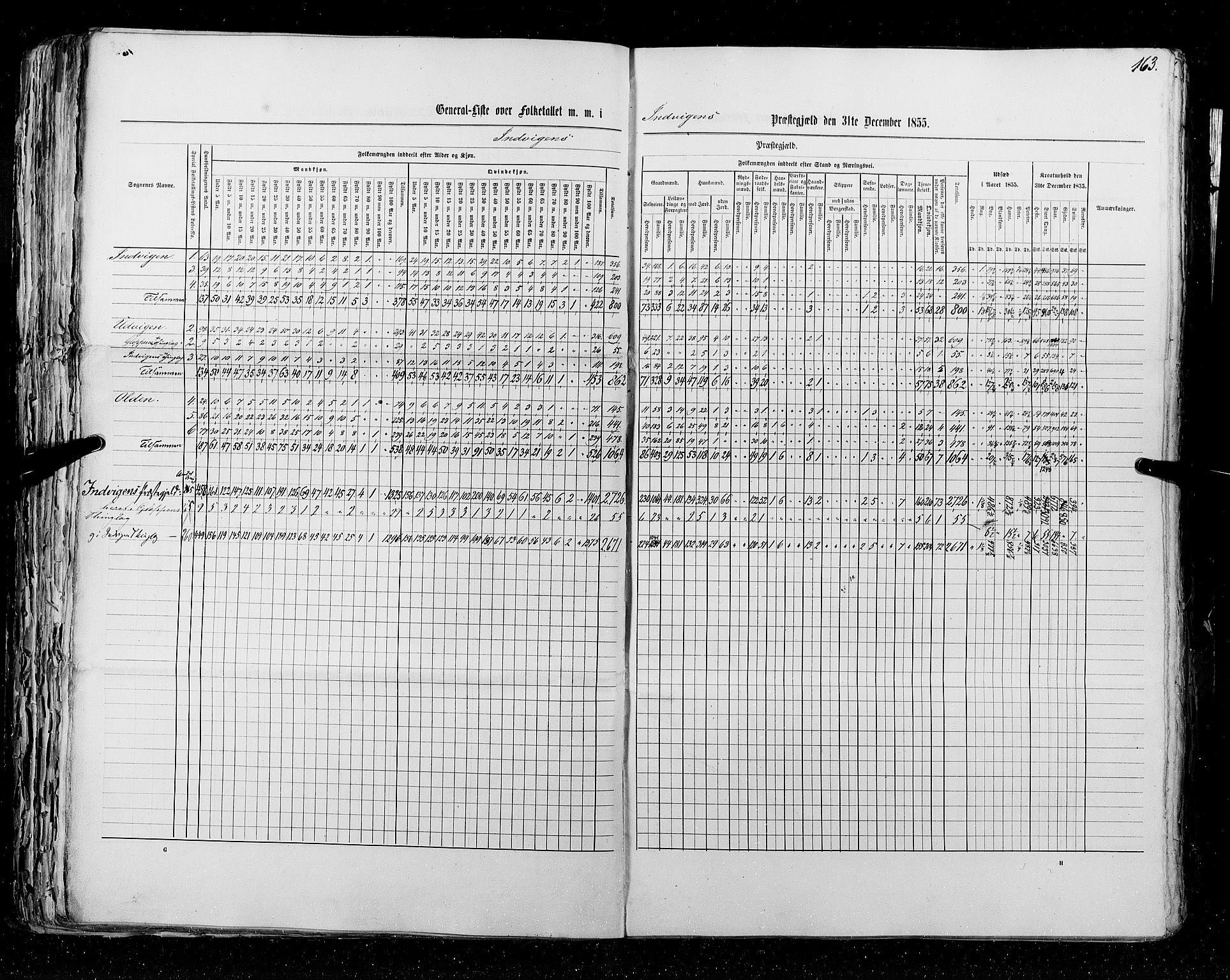 RA, Census 1855, vol. 5: Nordre Bergenhus amt, Romsdal amt og Søndre Trondhjem amt, 1855, p. 163