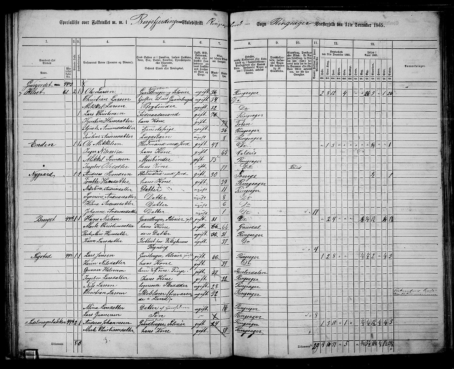 RA, 1865 census for Ringsaker, 1865, p. 75