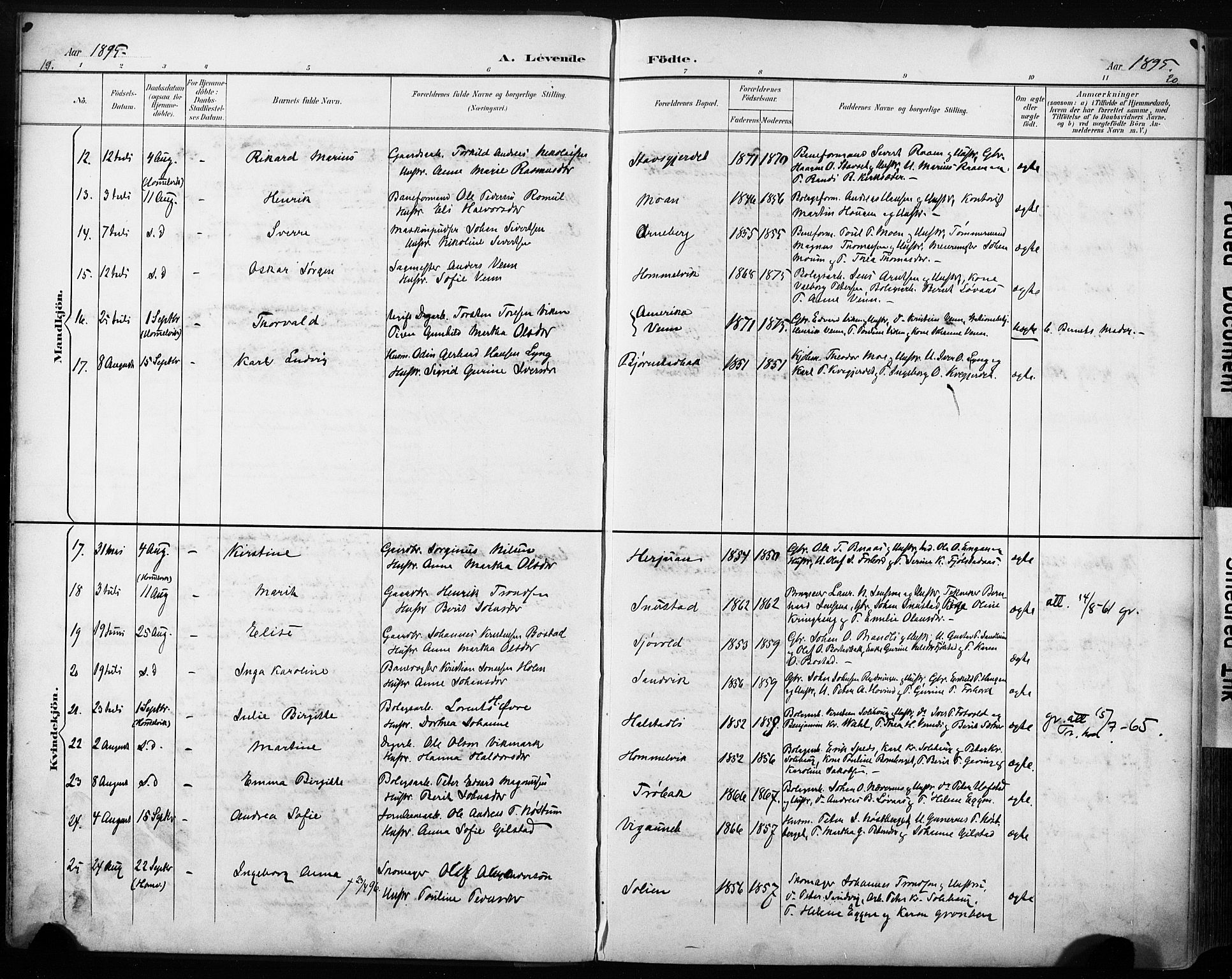 Ministerialprotokoller, klokkerbøker og fødselsregistre - Sør-Trøndelag, SAT/A-1456/616/L0411: Parish register (official) no. 616A08, 1894-1906, p. 19-20