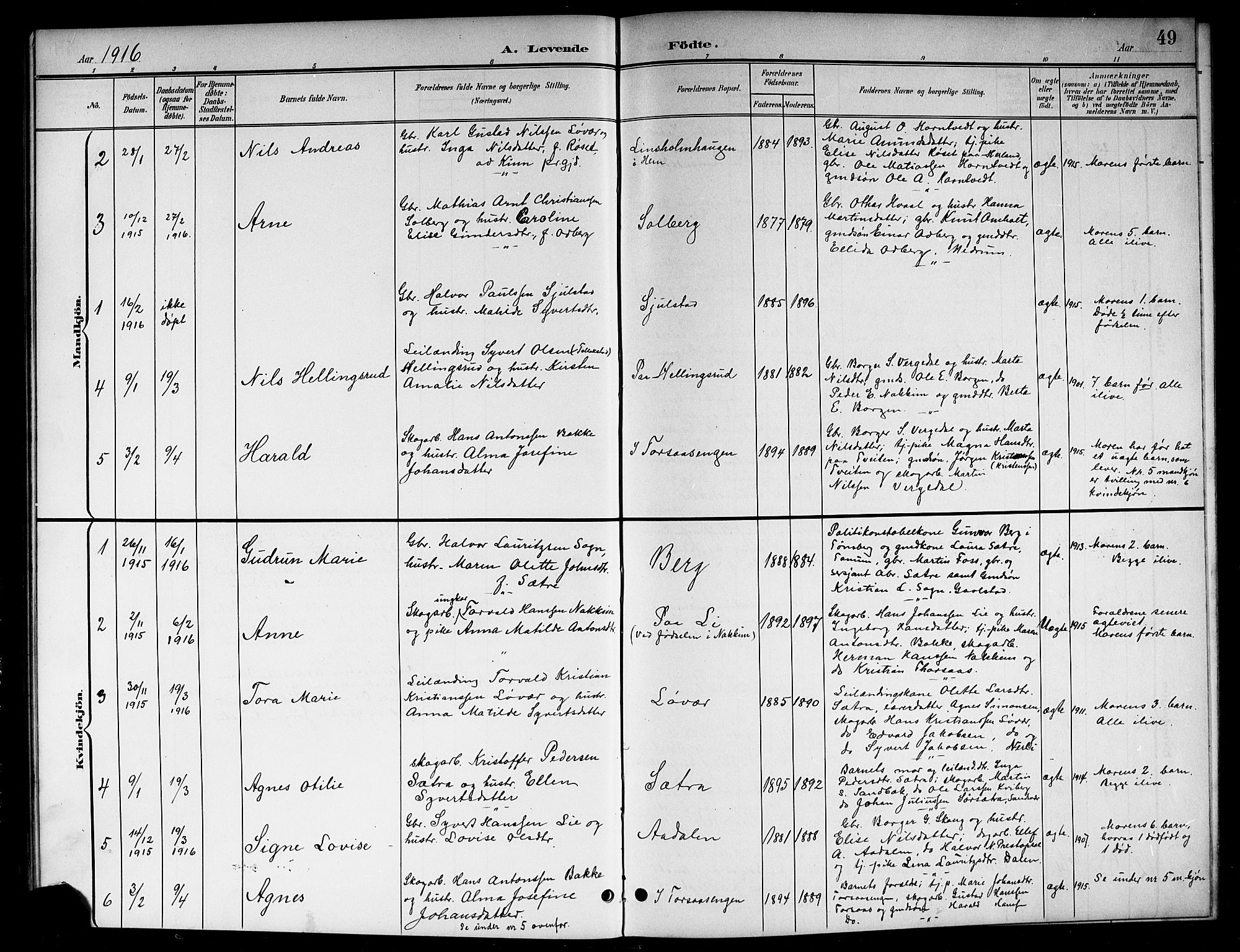 Lardal kirkebøker, AV/SAKO-A-350/G/Ga/L0002: Parish register (copy) no. I 2, 1901-1916, p. 49