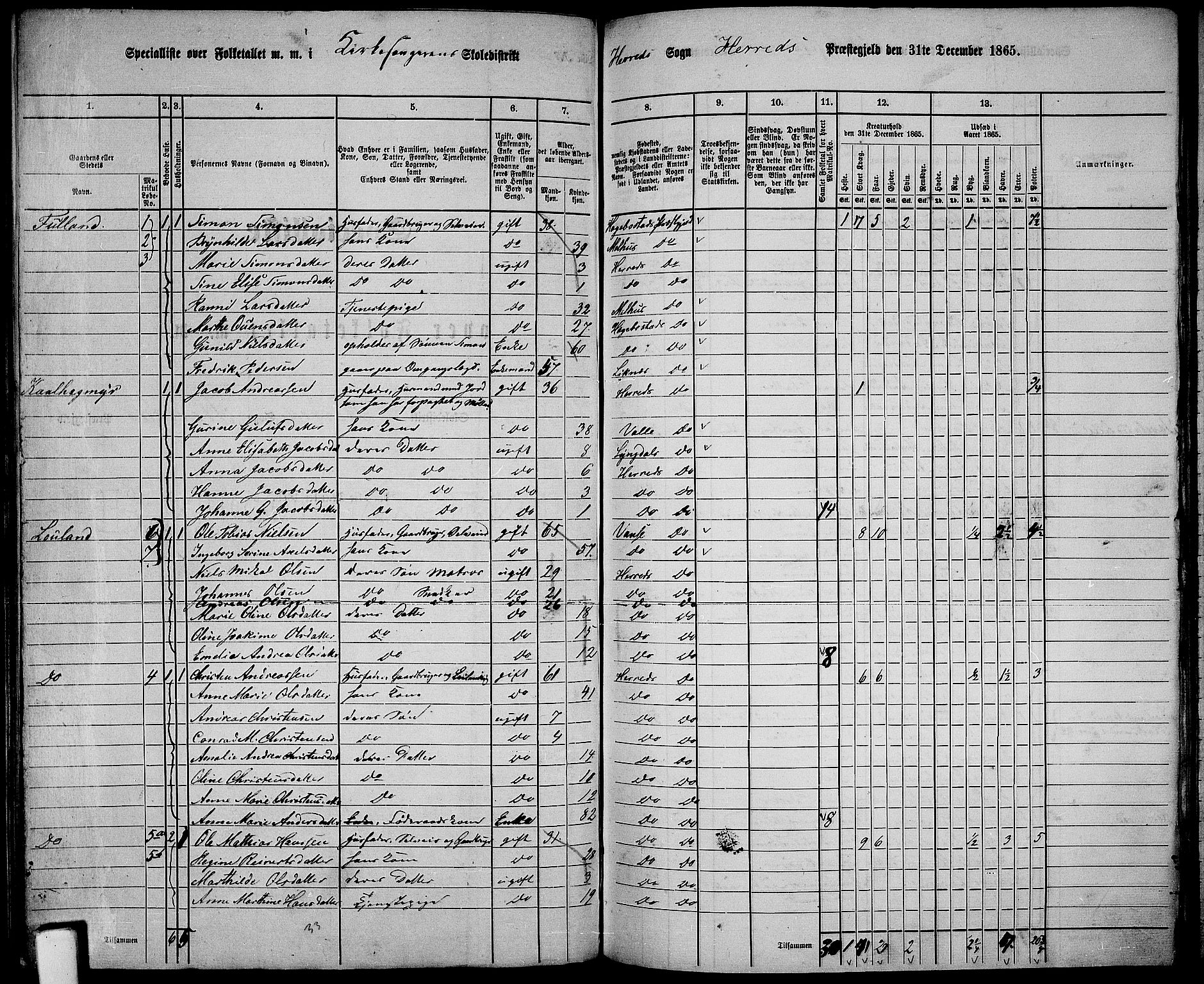 RA, 1865 census for Herad, 1865, p. 10