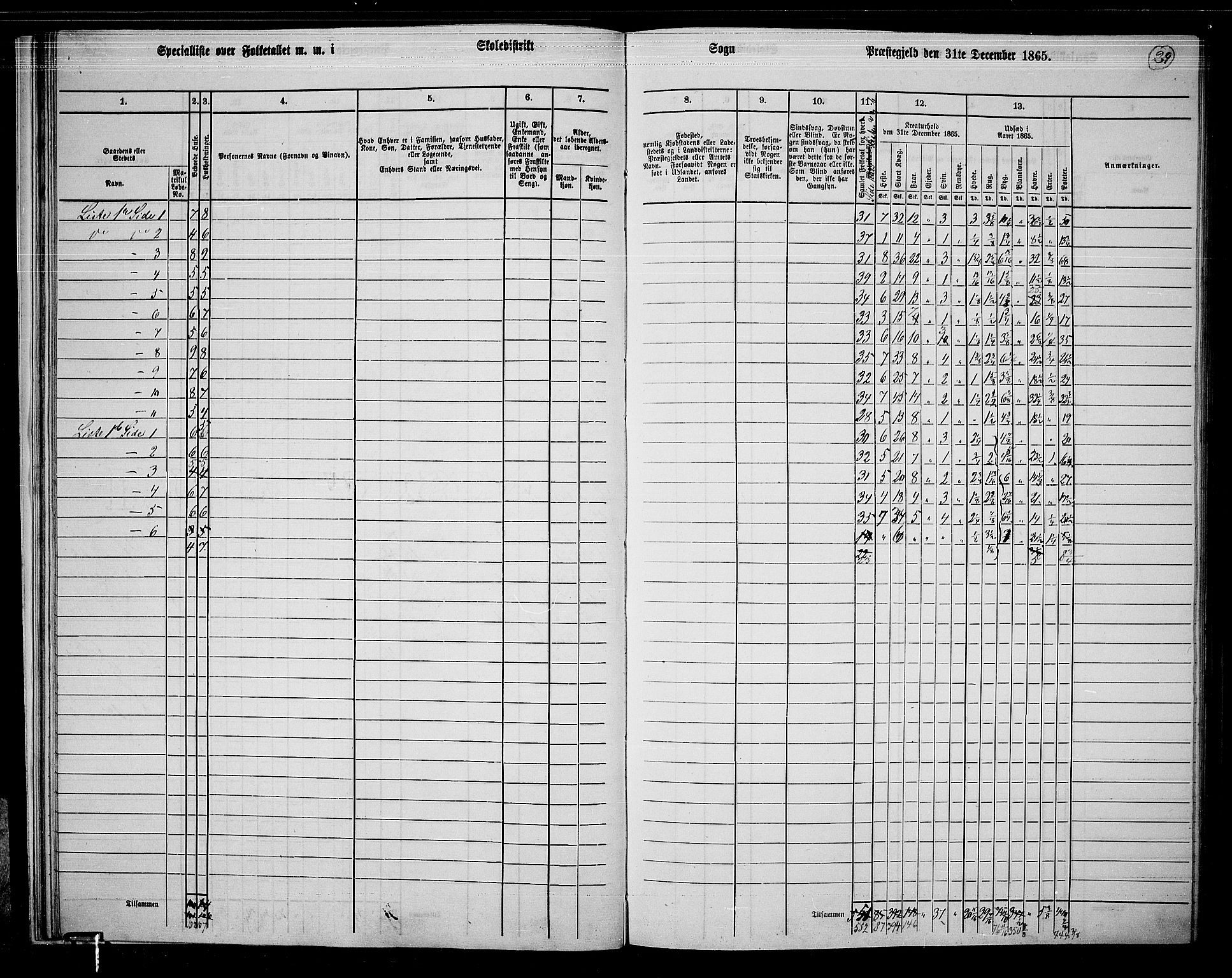 RA, 1865 census for Våler, 1865, p. 30