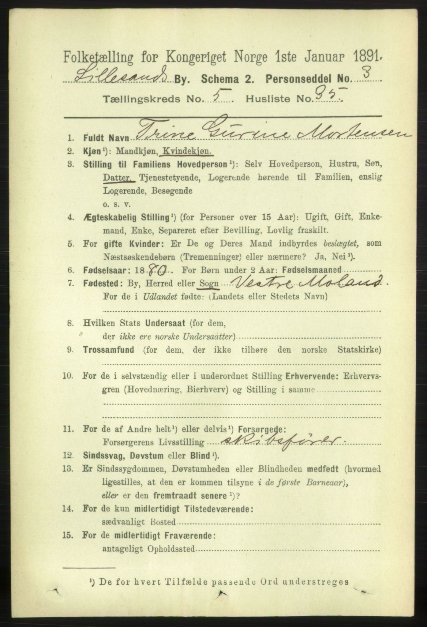 RA, 1891 census for 0905 Lillesand, 1891, p. 1605