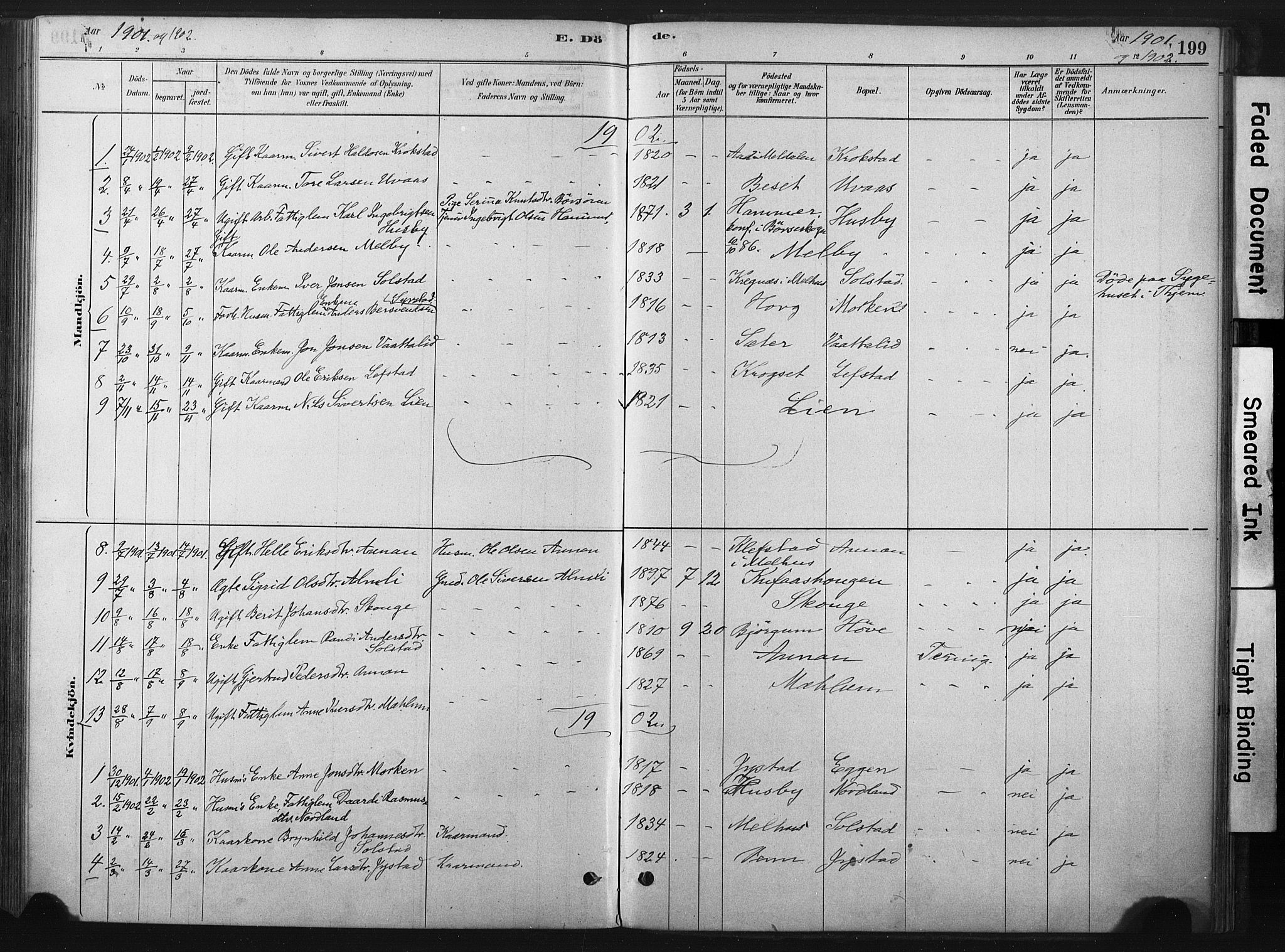 Ministerialprotokoller, klokkerbøker og fødselsregistre - Sør-Trøndelag, AV/SAT-A-1456/667/L0795: Parish register (official) no. 667A03, 1879-1907, p. 199