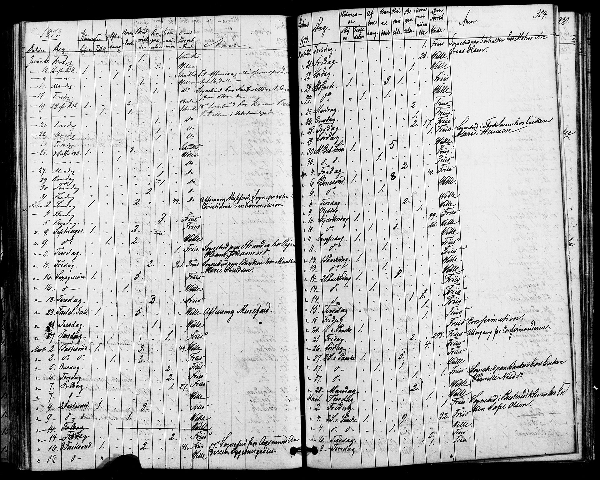 Halden prestekontor Kirkebøker, SAO/A-10909/F/Fa/L0010: Parish register (official) no. I 10, 1866-1877, p. 324