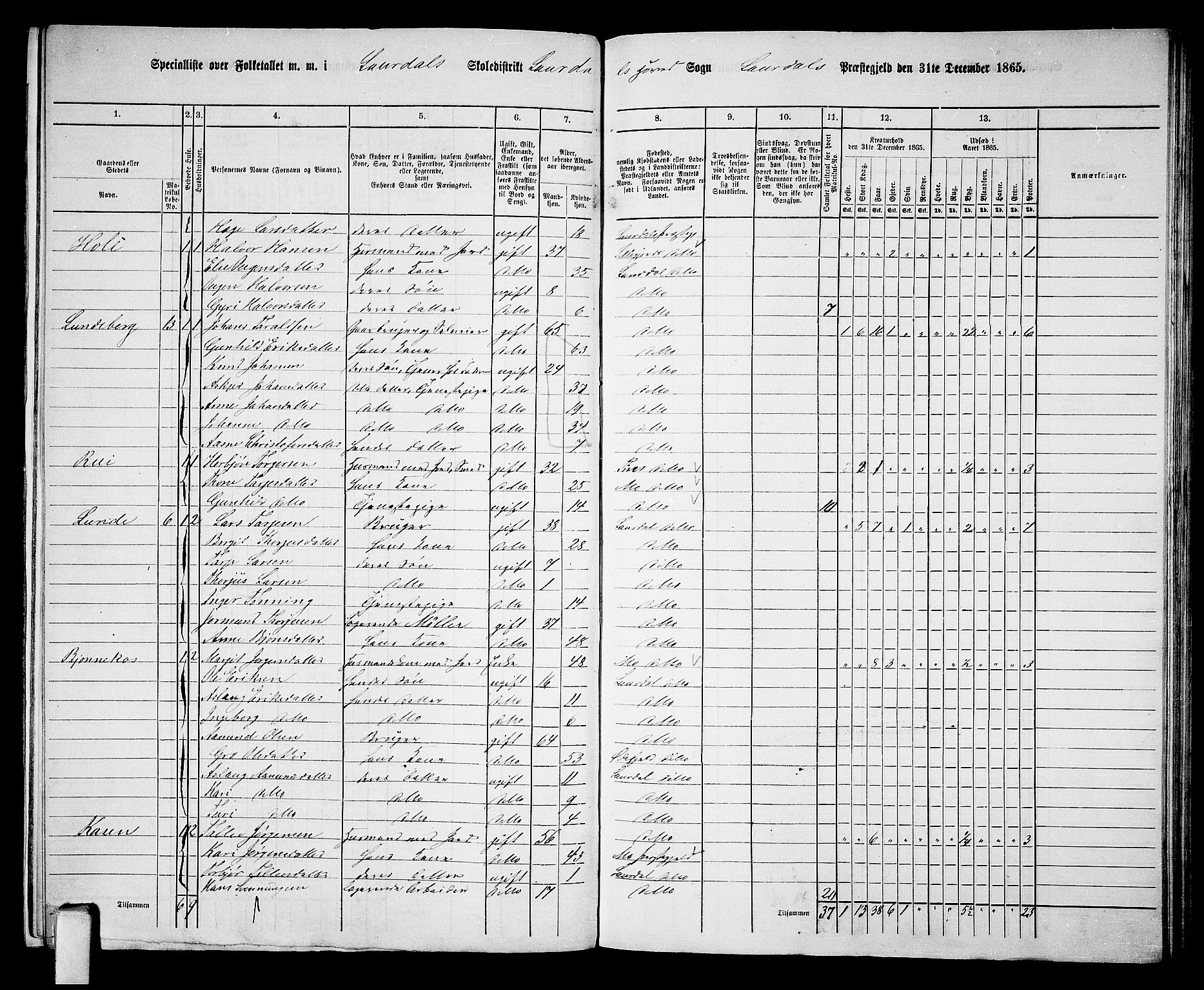 RA, 1865 census for Lårdal, 1865, p. 10