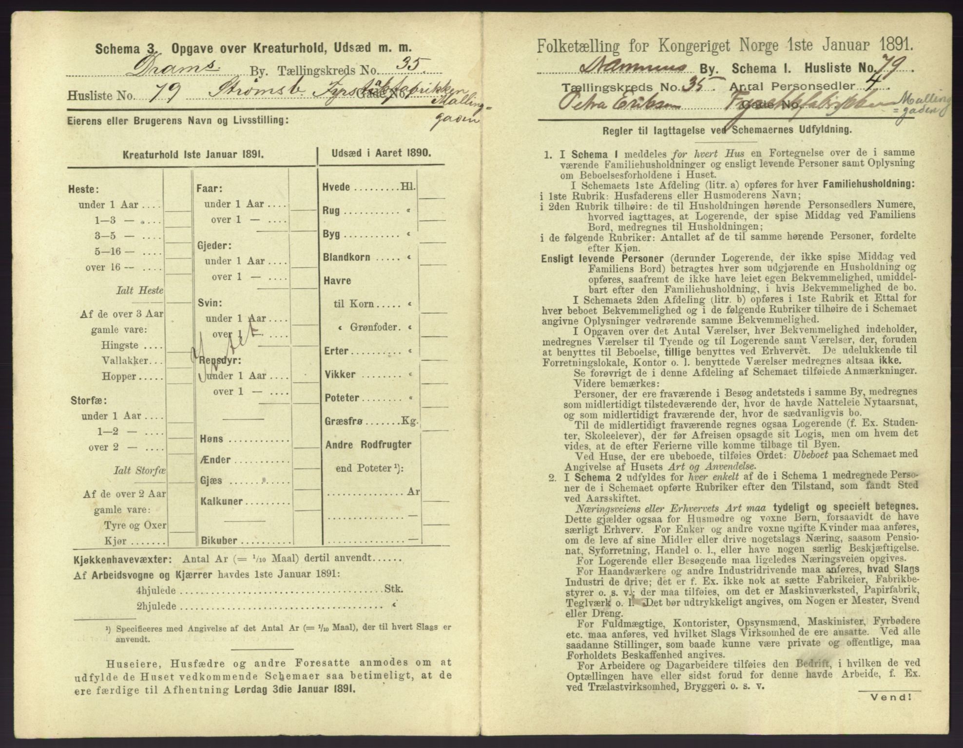 RA, 1891 census for 0602 Drammen, 1891, p. 3265