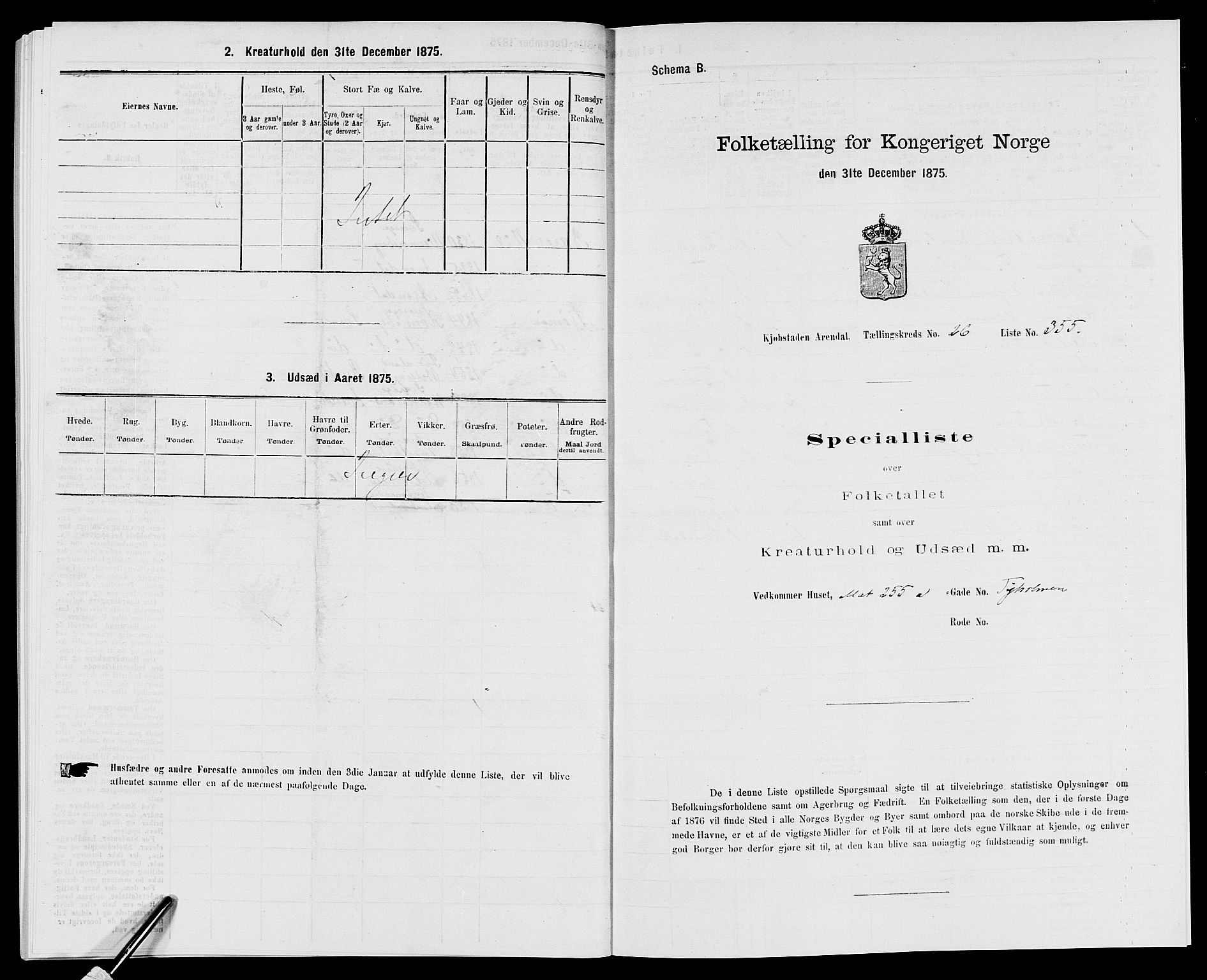 SAK, 1875 census for 0903P Arendal, 1875, p. 817