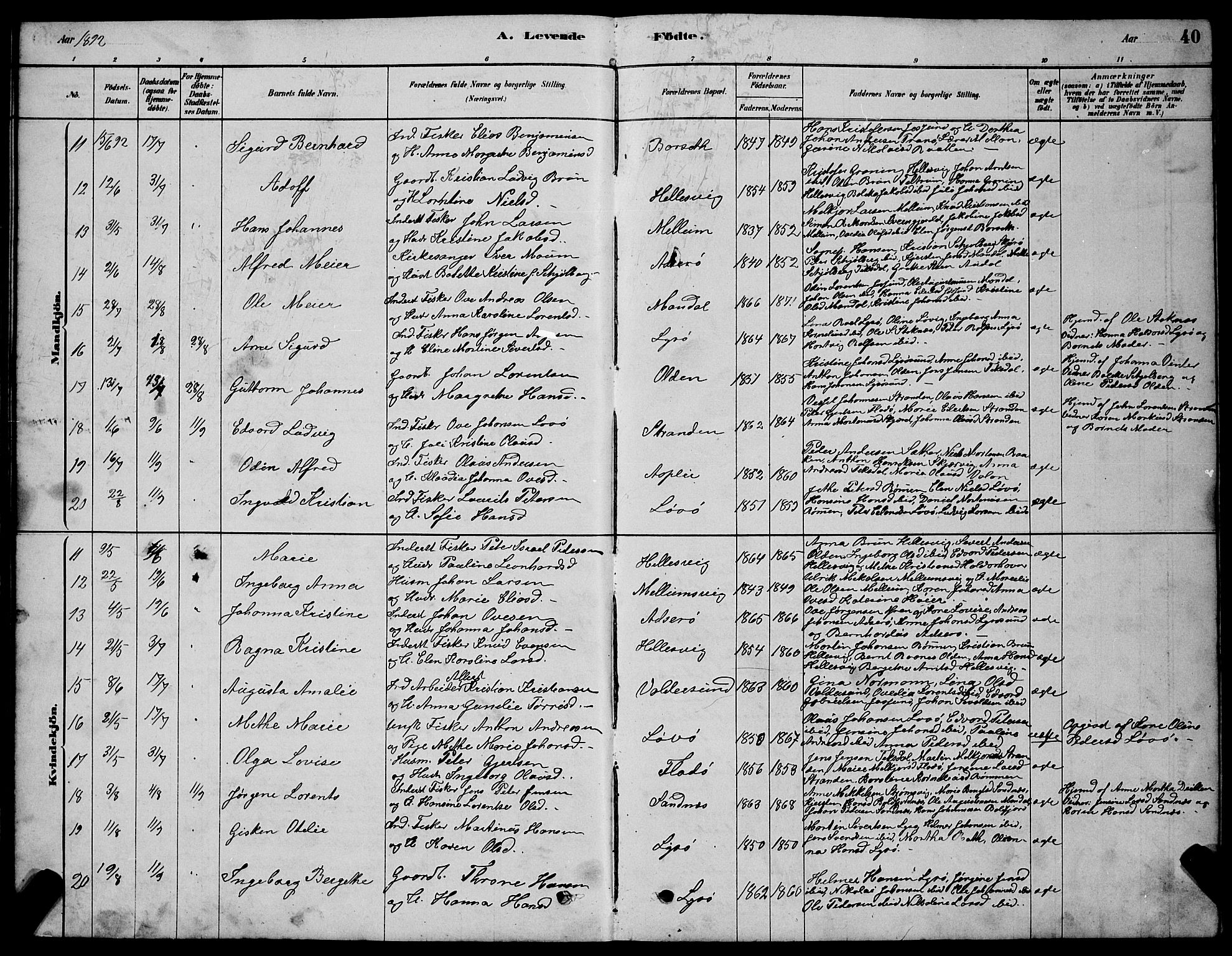 Ministerialprotokoller, klokkerbøker og fødselsregistre - Sør-Trøndelag, SAT/A-1456/654/L0665: Parish register (copy) no. 654C01, 1879-1901, p. 40