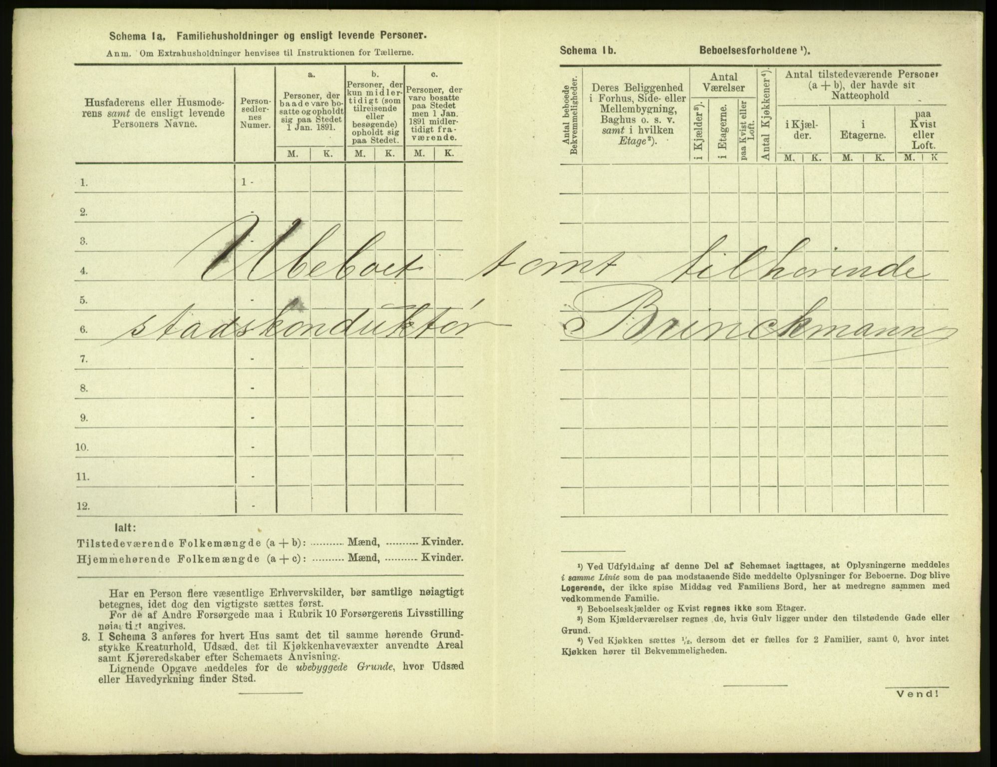 RA, 1891 census for 1503 Kristiansund, 1891, p. 1129