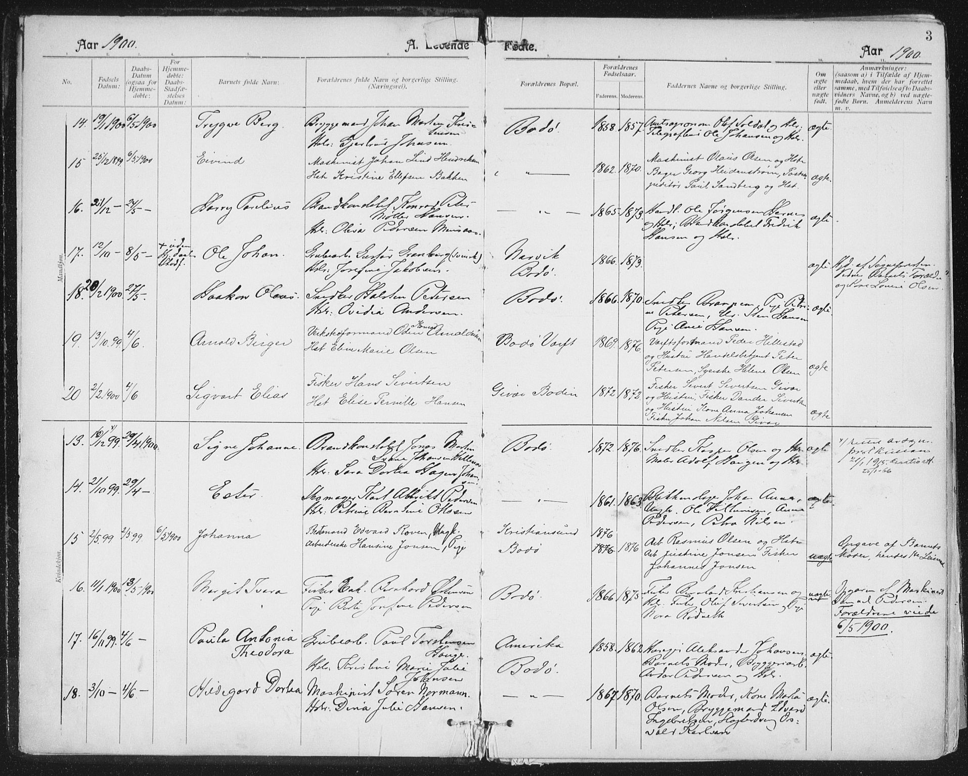 Ministerialprotokoller, klokkerbøker og fødselsregistre - Nordland, AV/SAT-A-1459/801/L0011: Parish register (official) no. 801A11, 1900-1916, p. 3