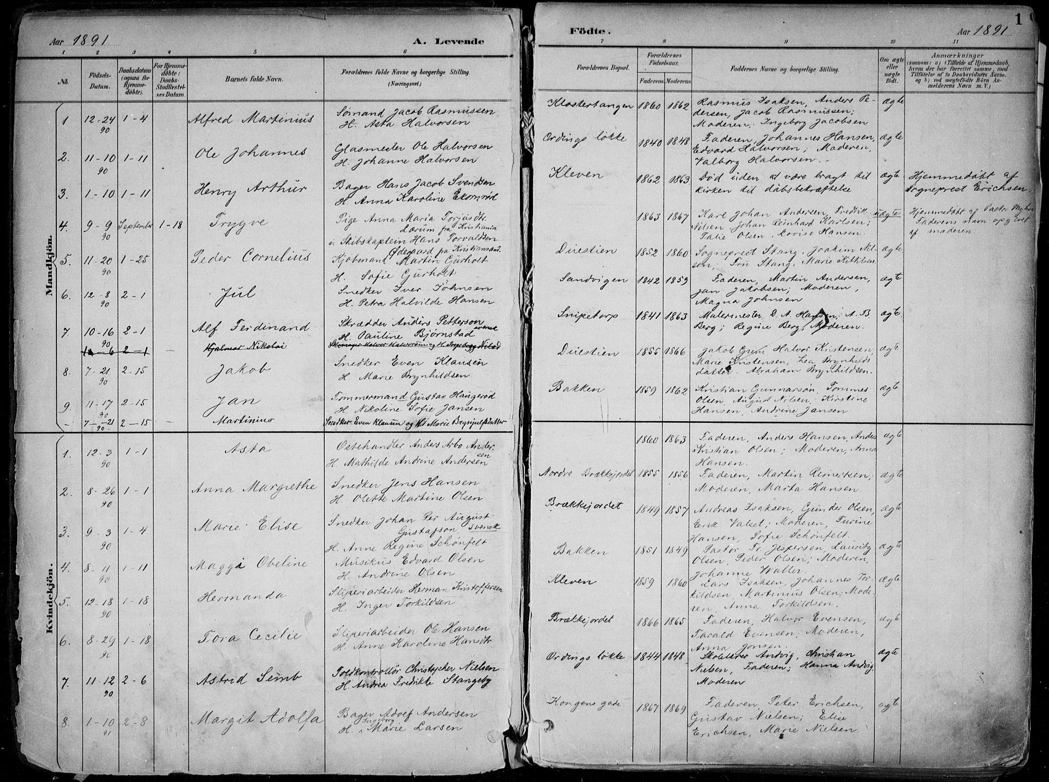 Skien kirkebøker, SAKO/A-302/F/Fa/L0010: Parish register (official) no. 10, 1891-1899, p. 1