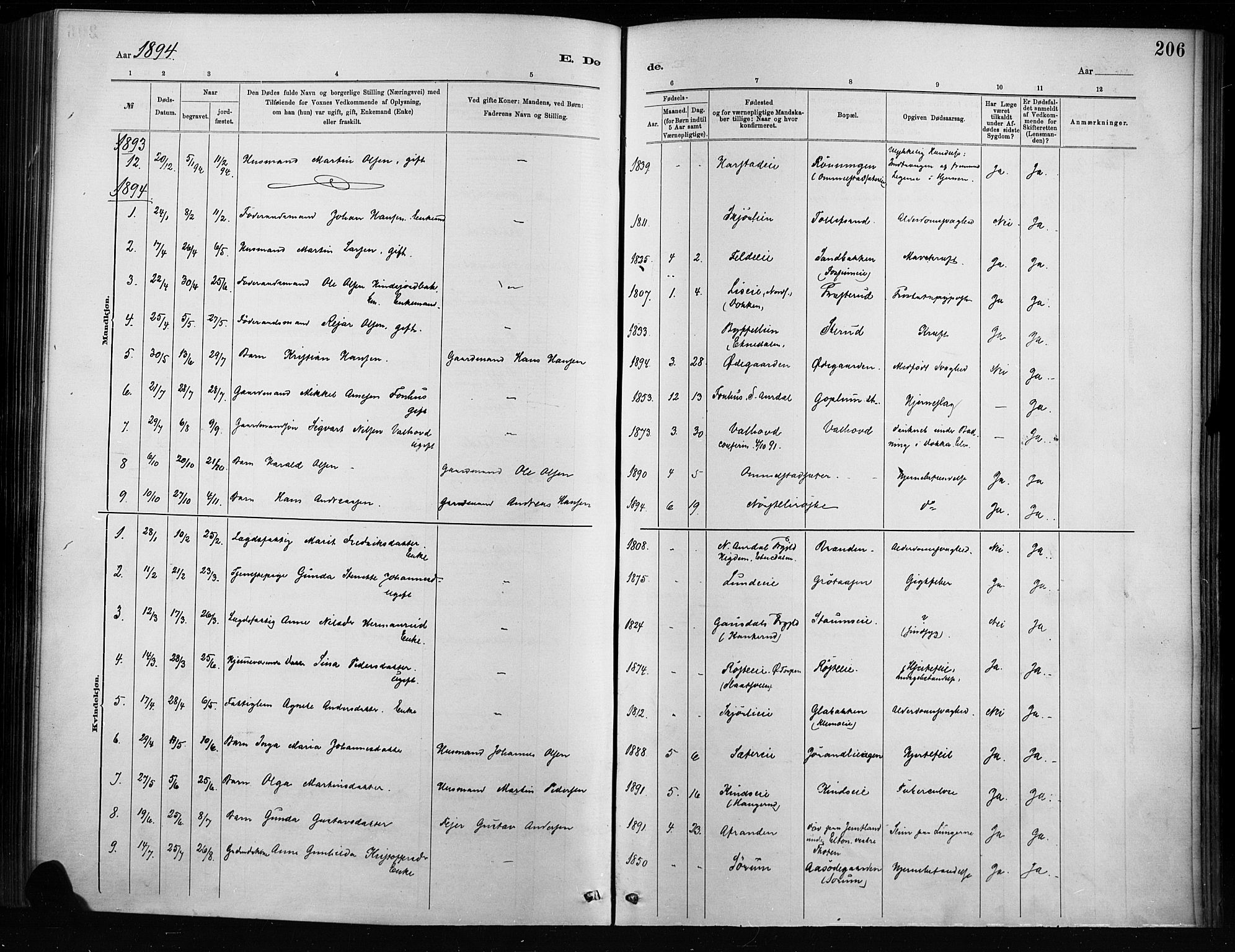 Nordre Land prestekontor, SAH/PREST-124/H/Ha/Haa/L0004: Parish register (official) no. 4, 1882-1896, p. 206