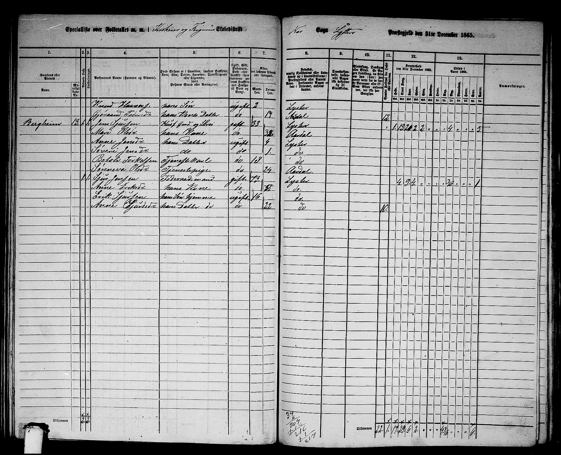 RA, 1865 census for Luster, 1865, p. 134