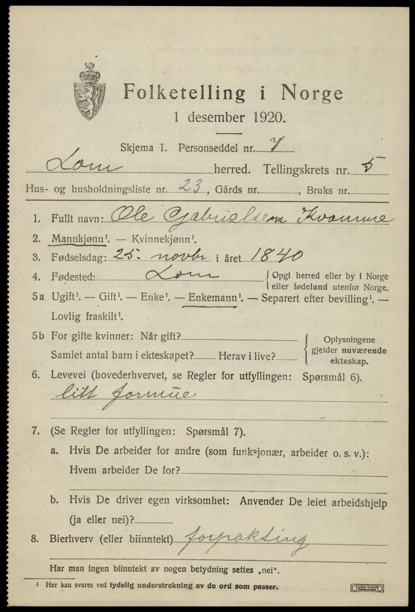 SAH, 1920 census for Lom, 1920, p. 3404