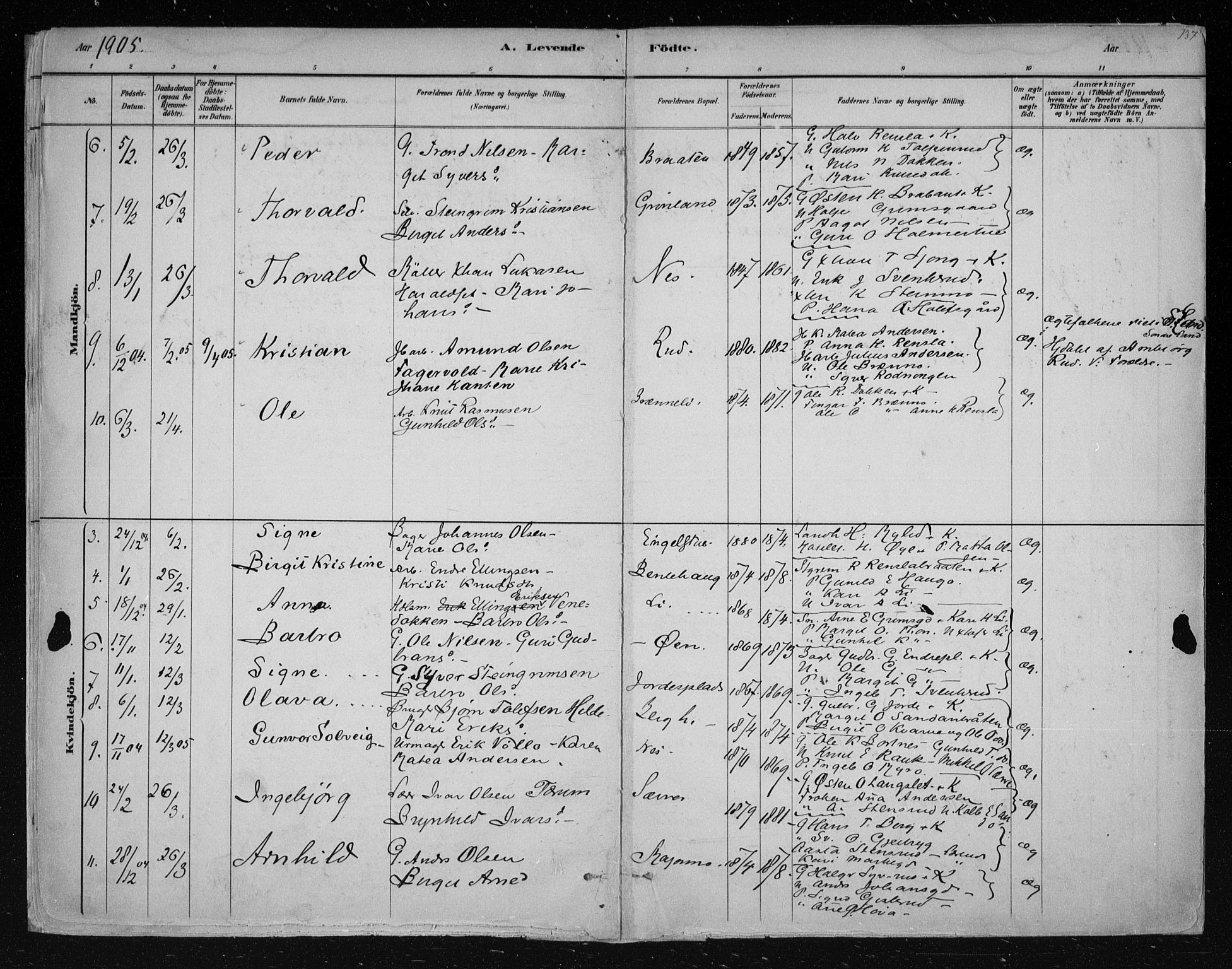 Nes kirkebøker, AV/SAKO-A-236/F/Fa/L0011: Parish register (official) no. 11, 1881-1912, p. 137