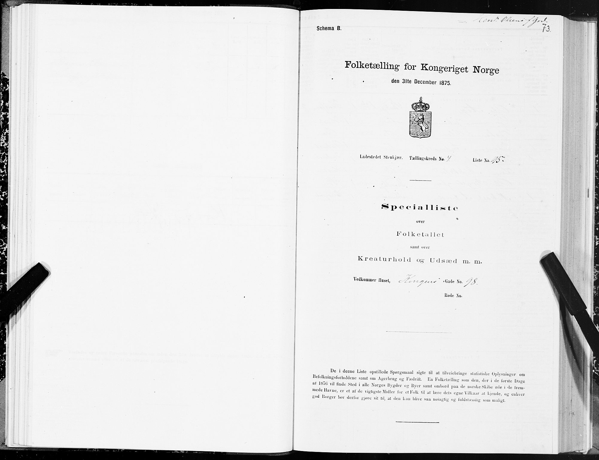 SAT, 1875 census for 1702B Steinkjer/Steinkjer, 1875, p. 73