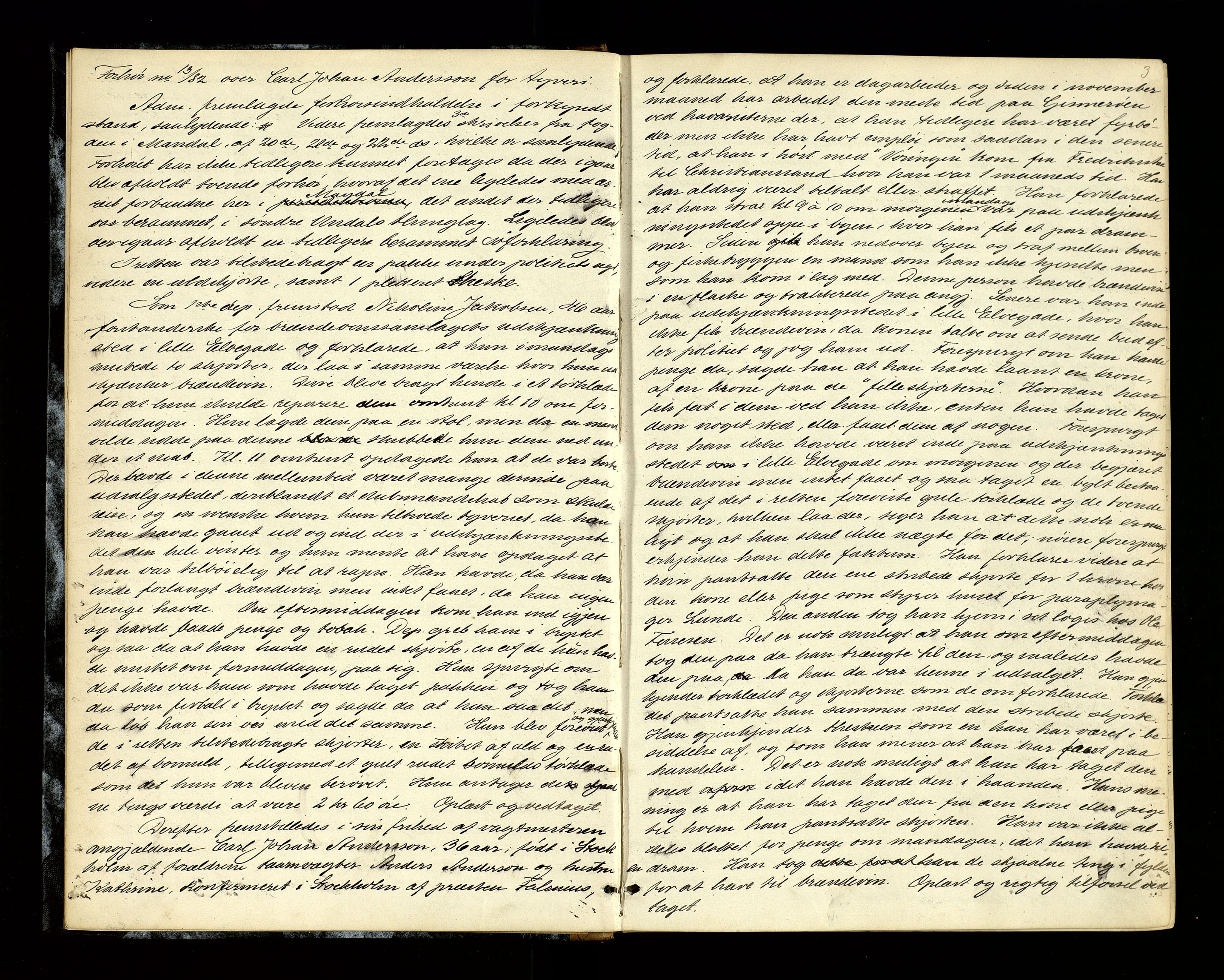 Mandal sorenskriveri, SAK/1221-0005/001/F/Fb/L0027: Ekstrarettsprotokoll nr 25, 1882-1886, p. 3