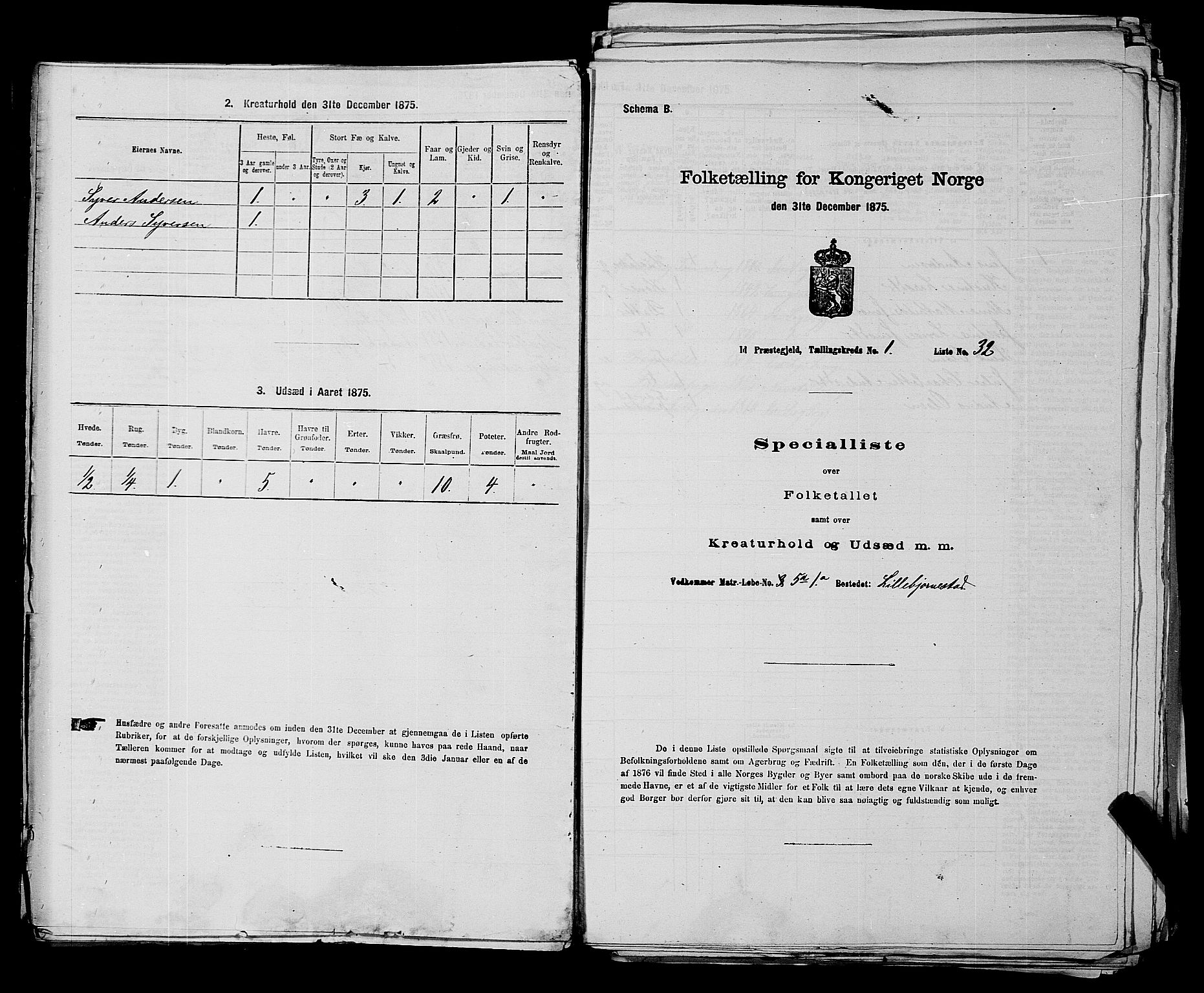 RA, 1875 census for 0117P Idd, 1875, p. 73