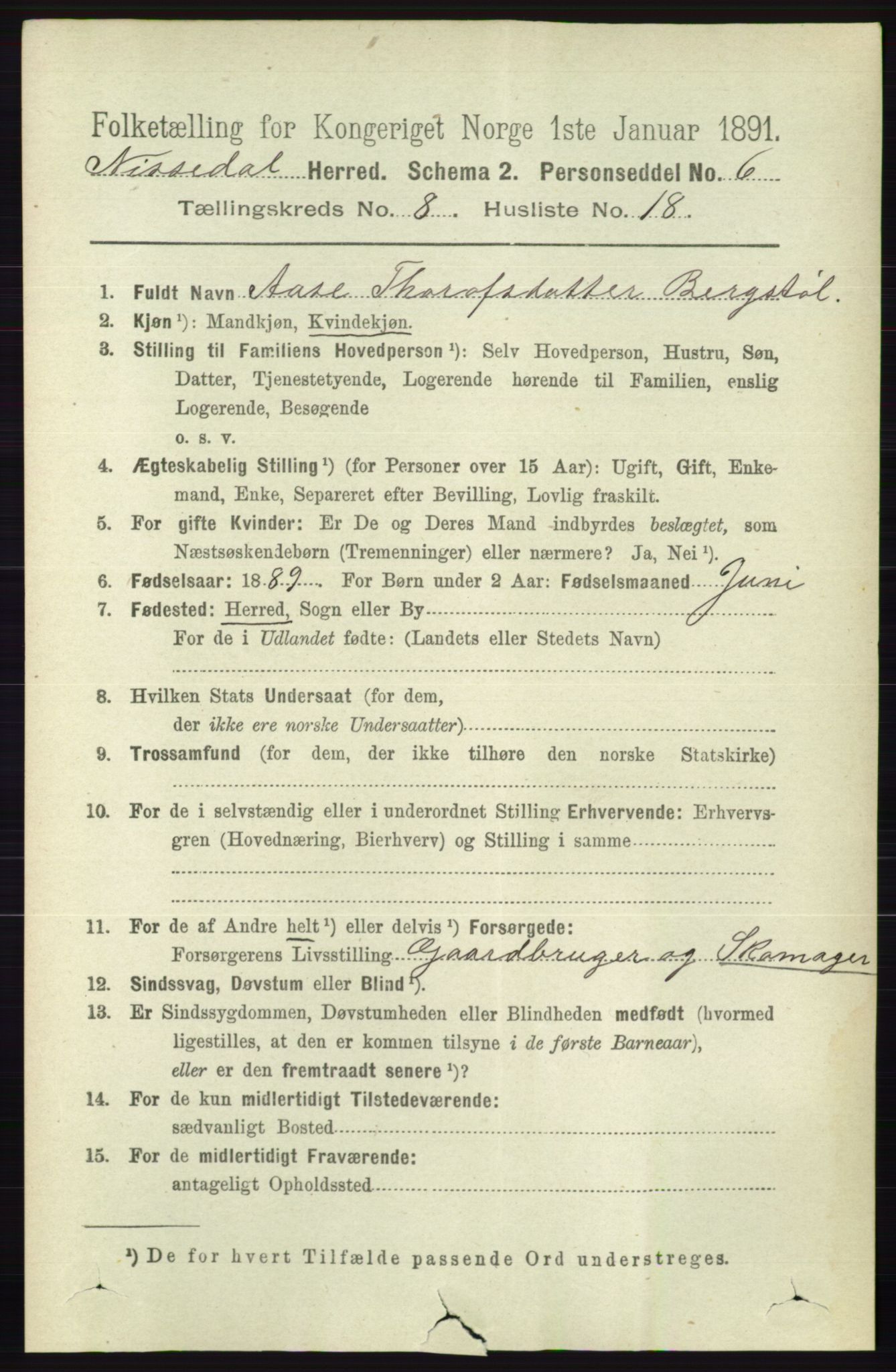 RA, 1891 census for 0830 Nissedal, 1891, p. 1802