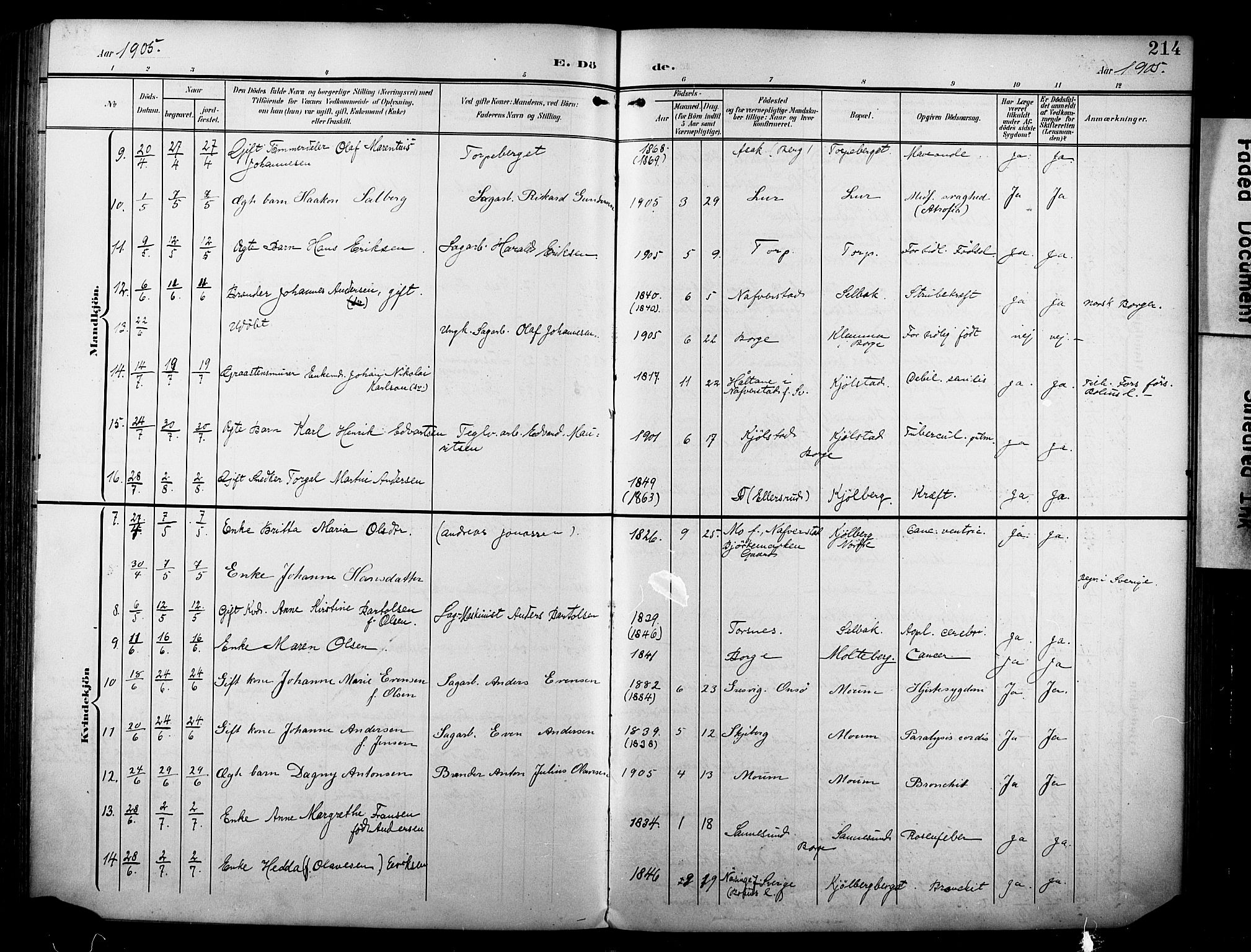 Borge prestekontor Kirkebøker, SAO/A-10903/F/Fa/L0009: Parish register (official) no. I 9, 1902-1911, p. 214