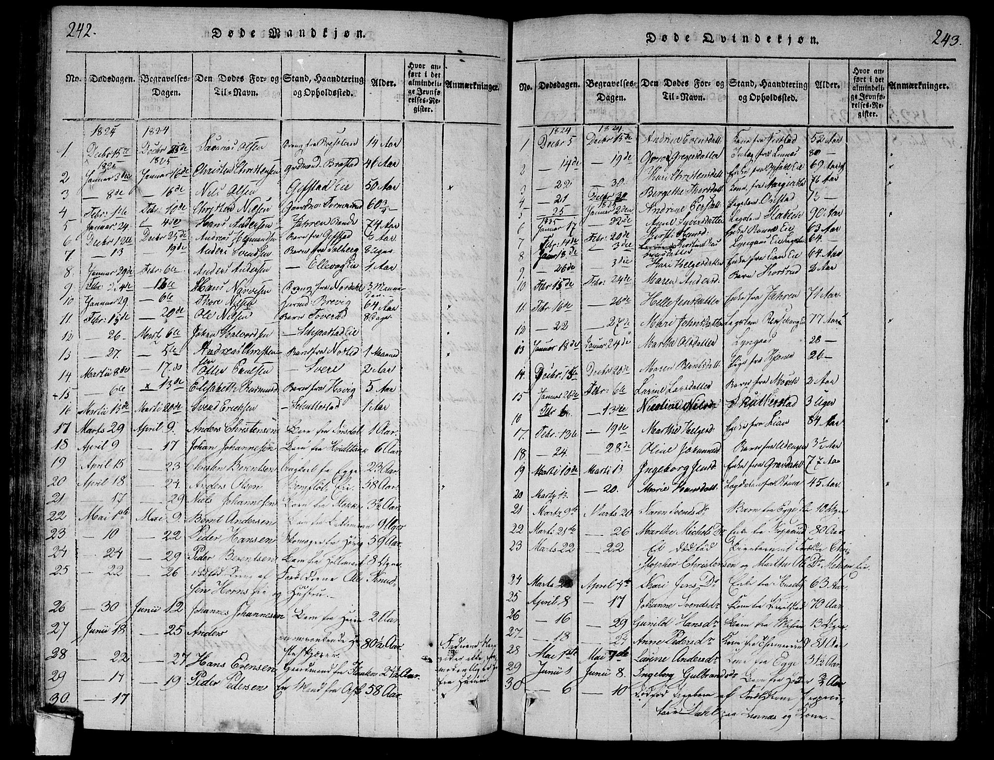 Lier kirkebøker, AV/SAKO-A-230/F/Fa/L0008: Parish register (official) no. I 8, 1813-1825, p. 242-243