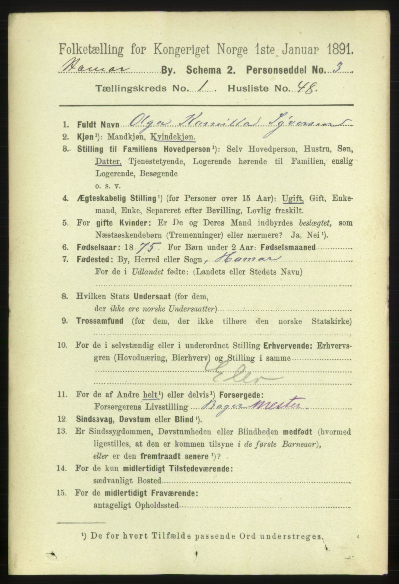 RA, 1891 census for 0401 Hamar, 1891, p. 788