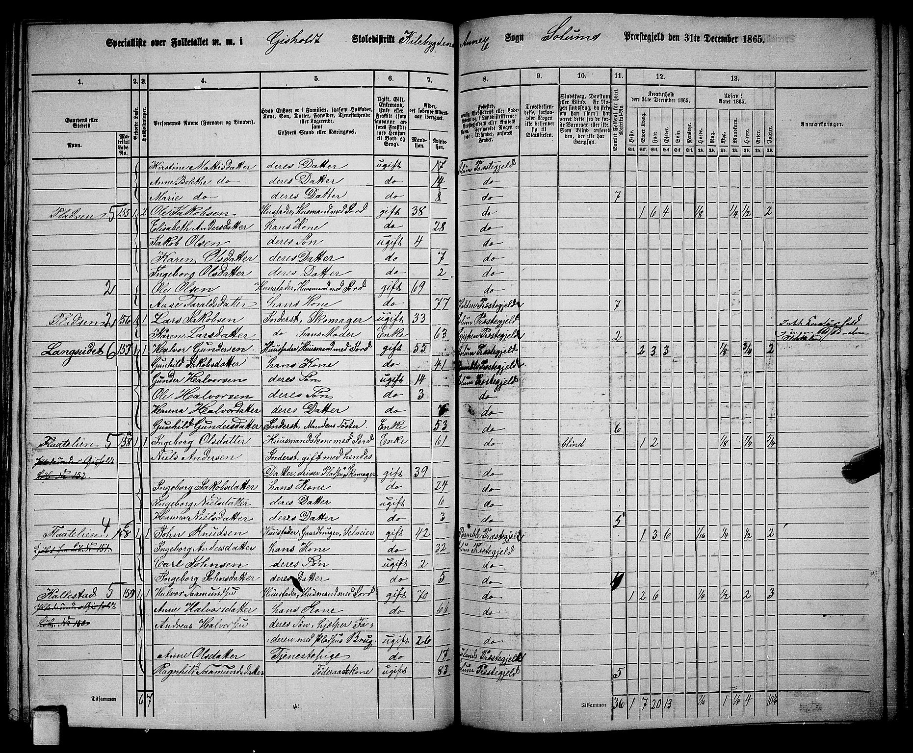 RA, 1865 census for Solum, 1865, p. 155