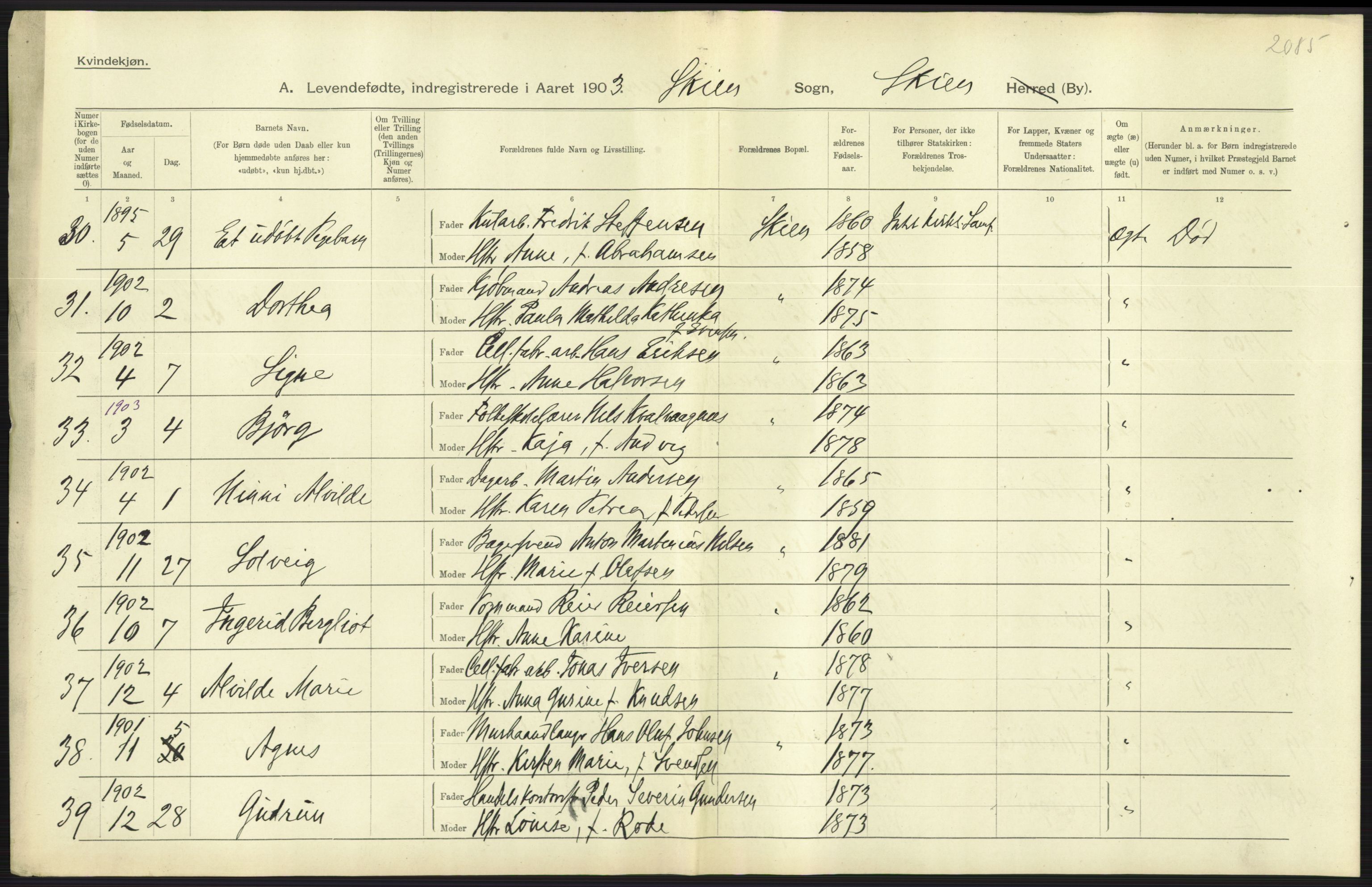 Statistisk sentralbyrå, Sosiodemografiske emner, Befolkning, AV/RA-S-2228/D/Df/Dfa/Dfaa/L0009: Bratsberg amt: Fødte, gifte, døde, 1903, p. 305