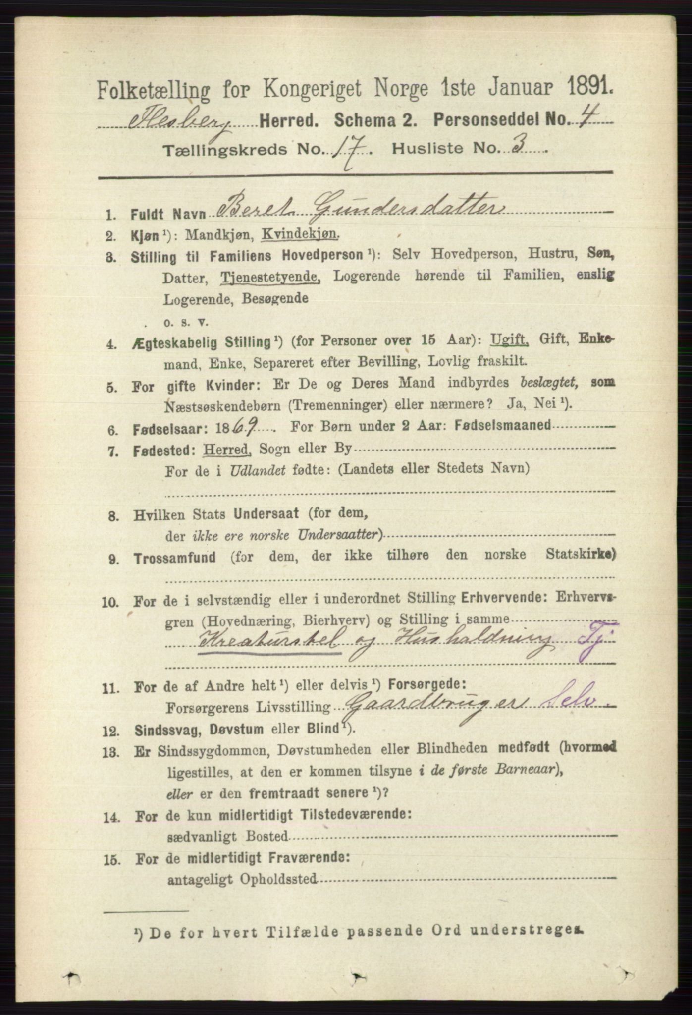 RA, 1891 census for 0631 Flesberg, 1891, p. 2999