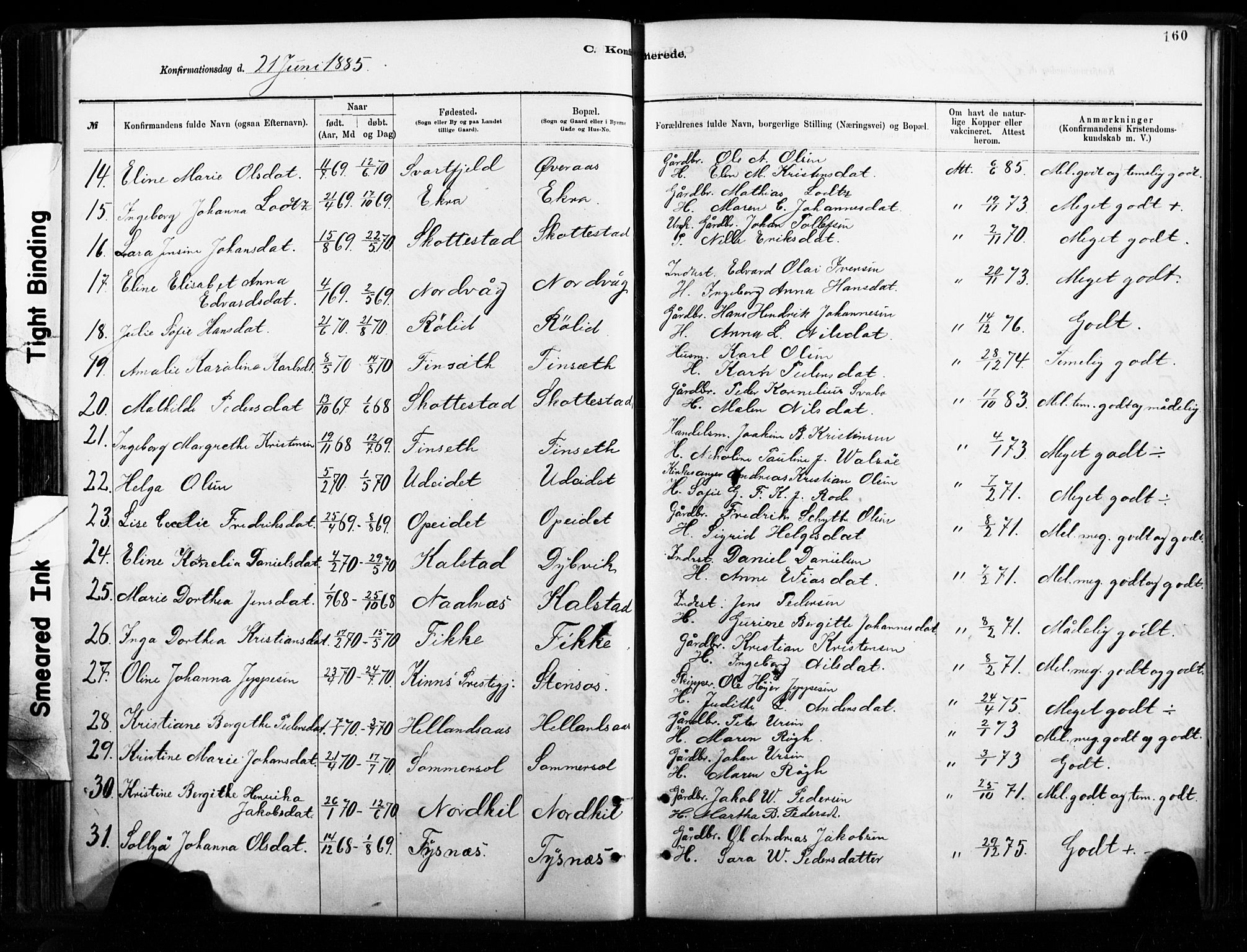 Ministerialprotokoller, klokkerbøker og fødselsregistre - Nordland, AV/SAT-A-1459/859/L0846: Parish register (official) no. 859A06, 1878-1889, p. 160