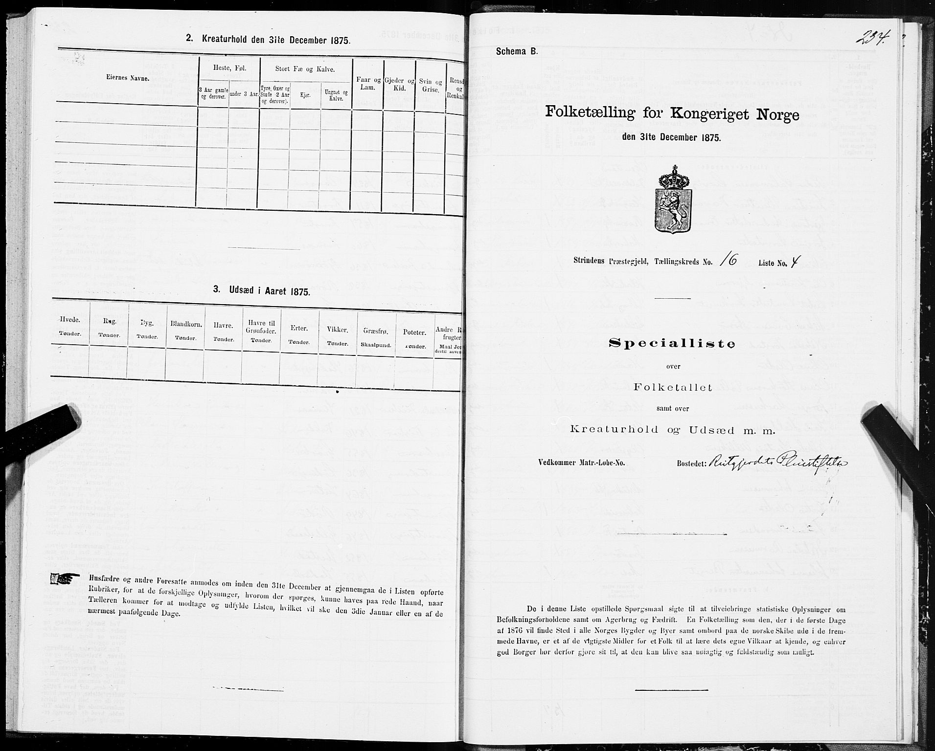 SAT, 1875 census for 1660P Strinda, 1875, p. 8234